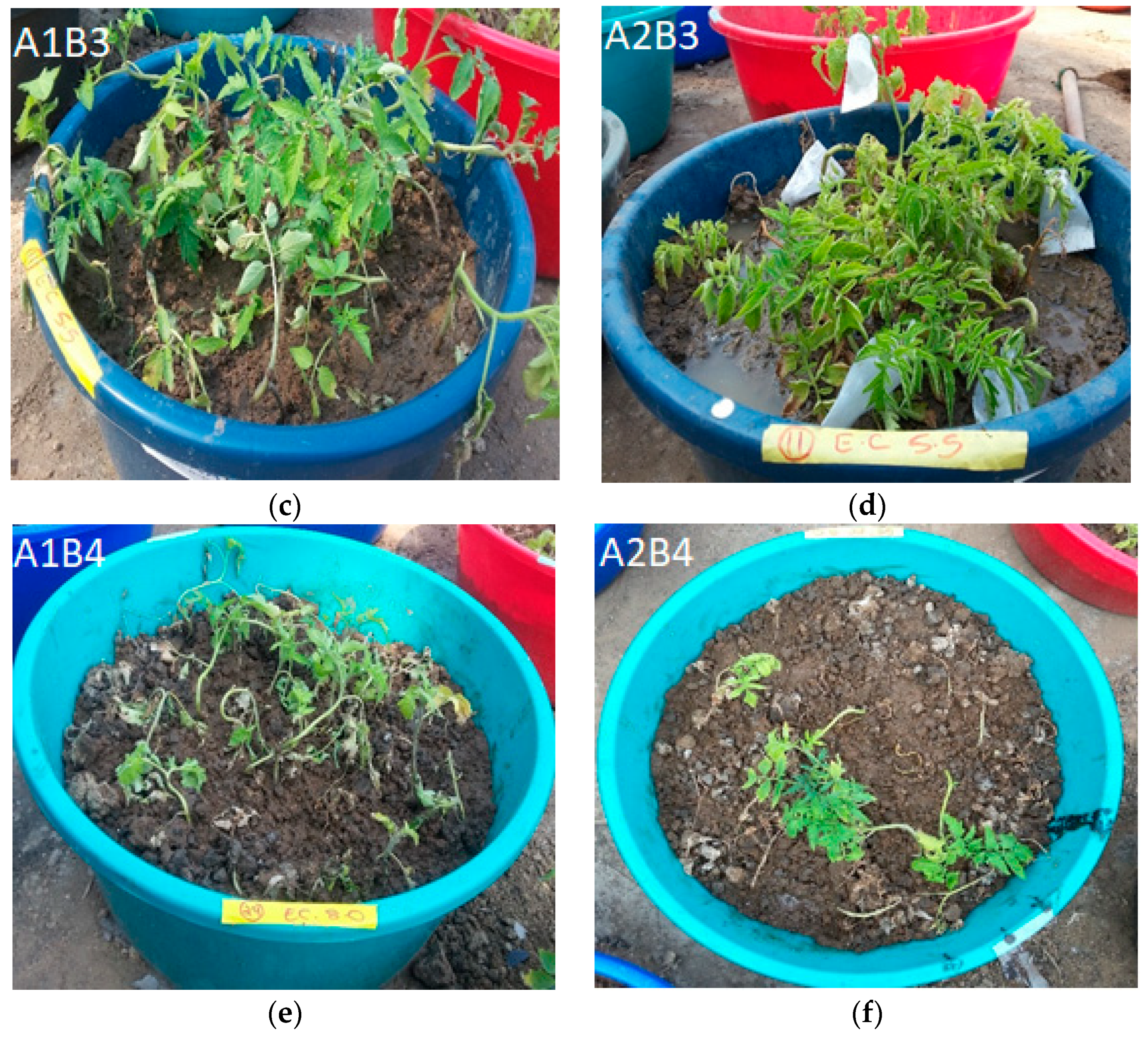 Sustainability 13 08369 g001b