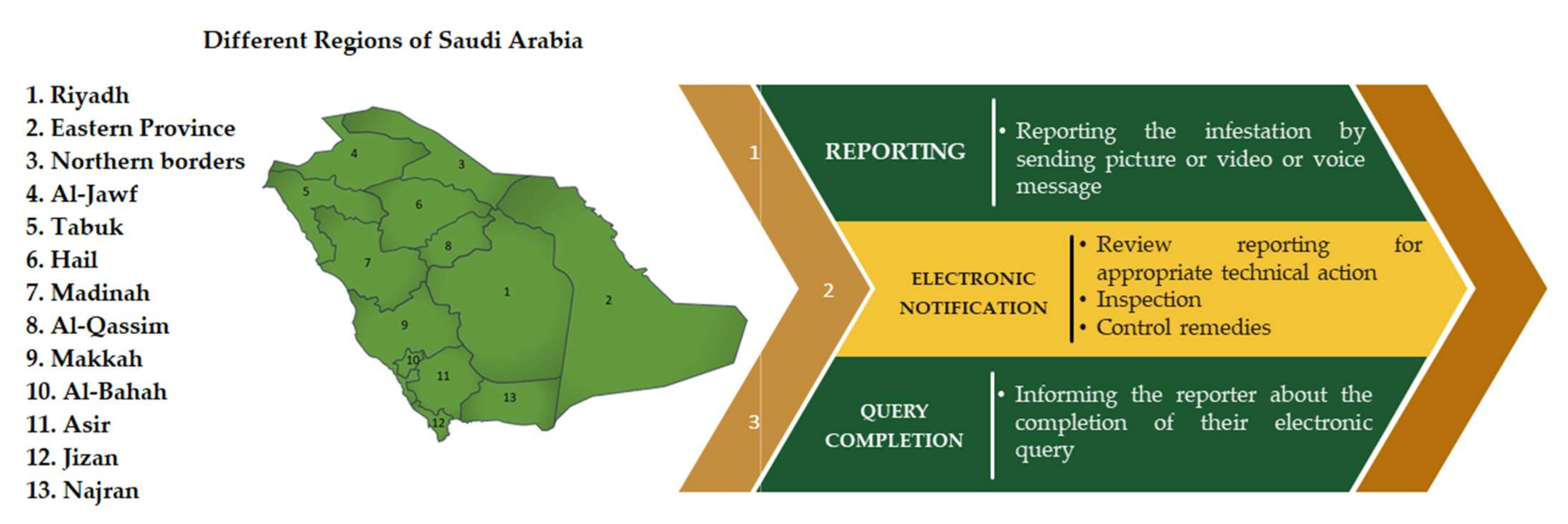 Sustainability 13 08402 g005