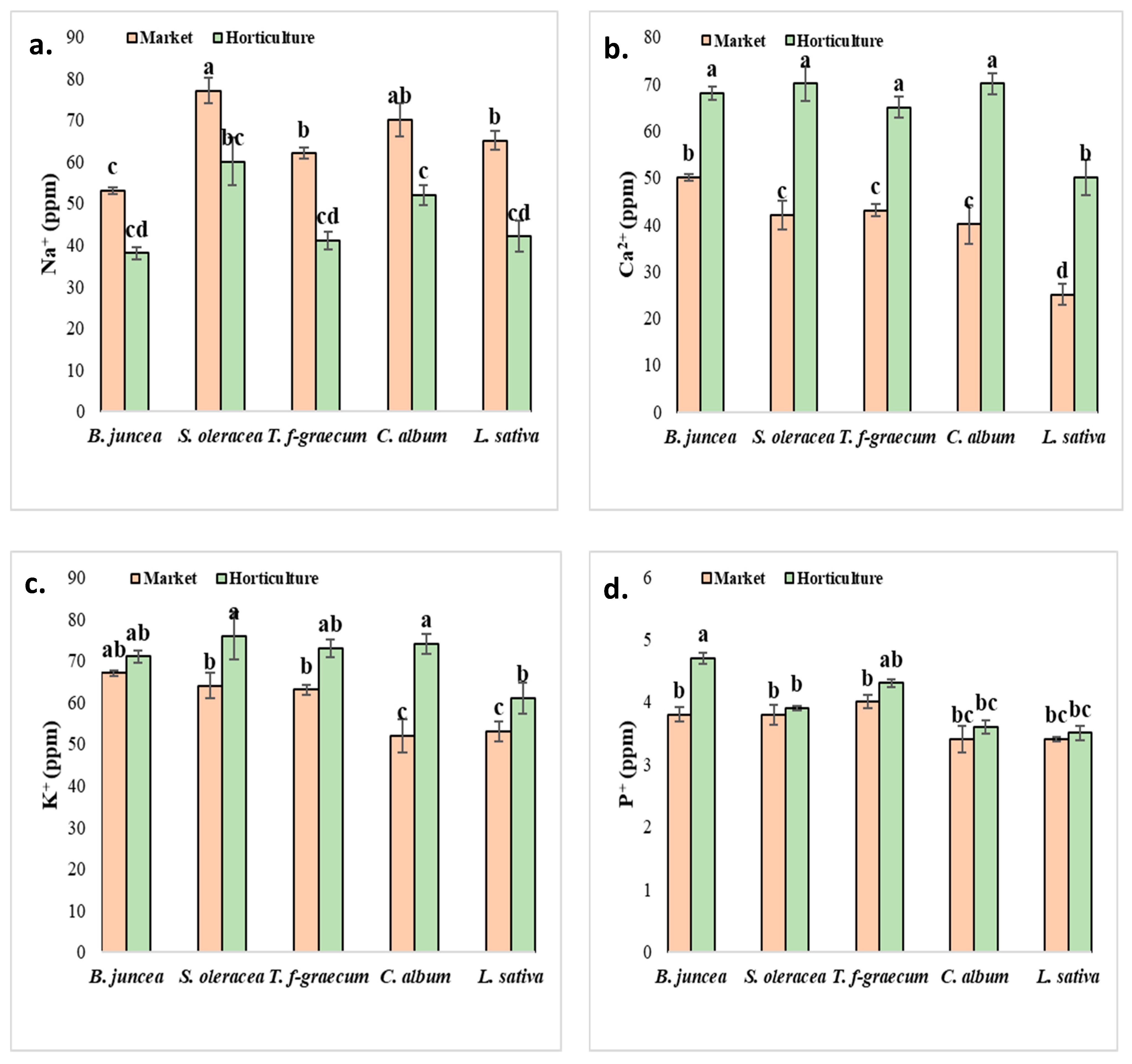 Sustainability 13 08444 g005