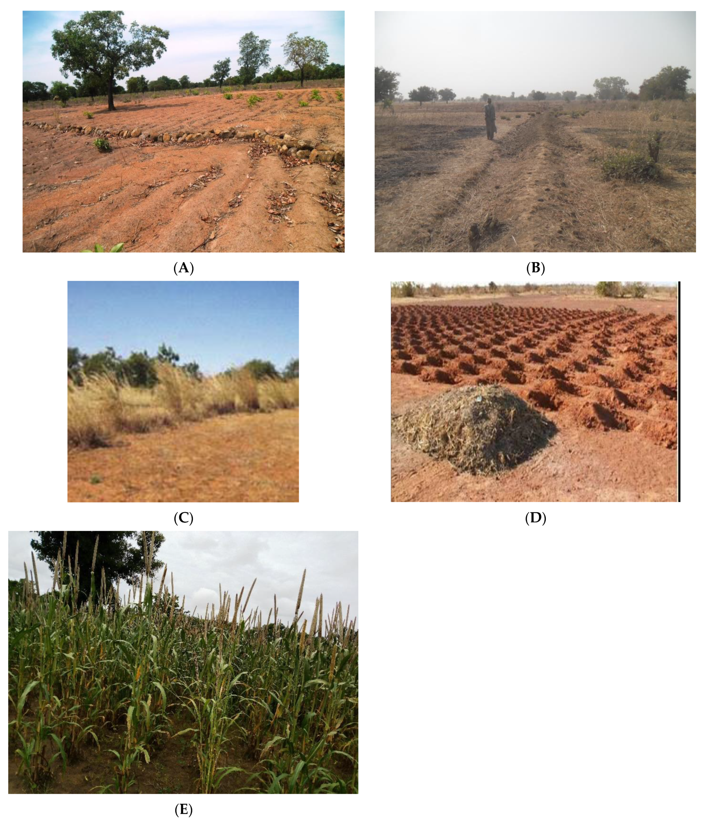 Sustainability 13 08460 g004