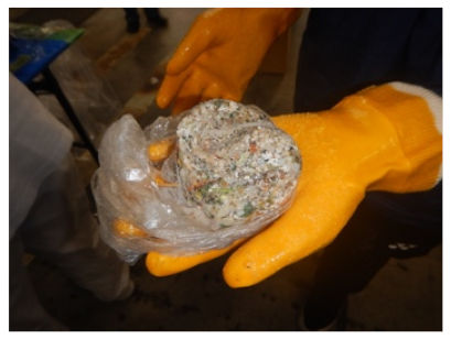 Sustainability 13 08576 i006