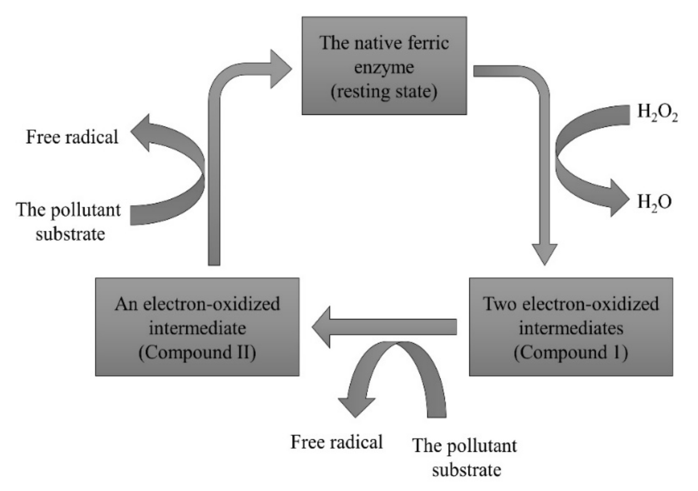Sustainability 13 08620 g001