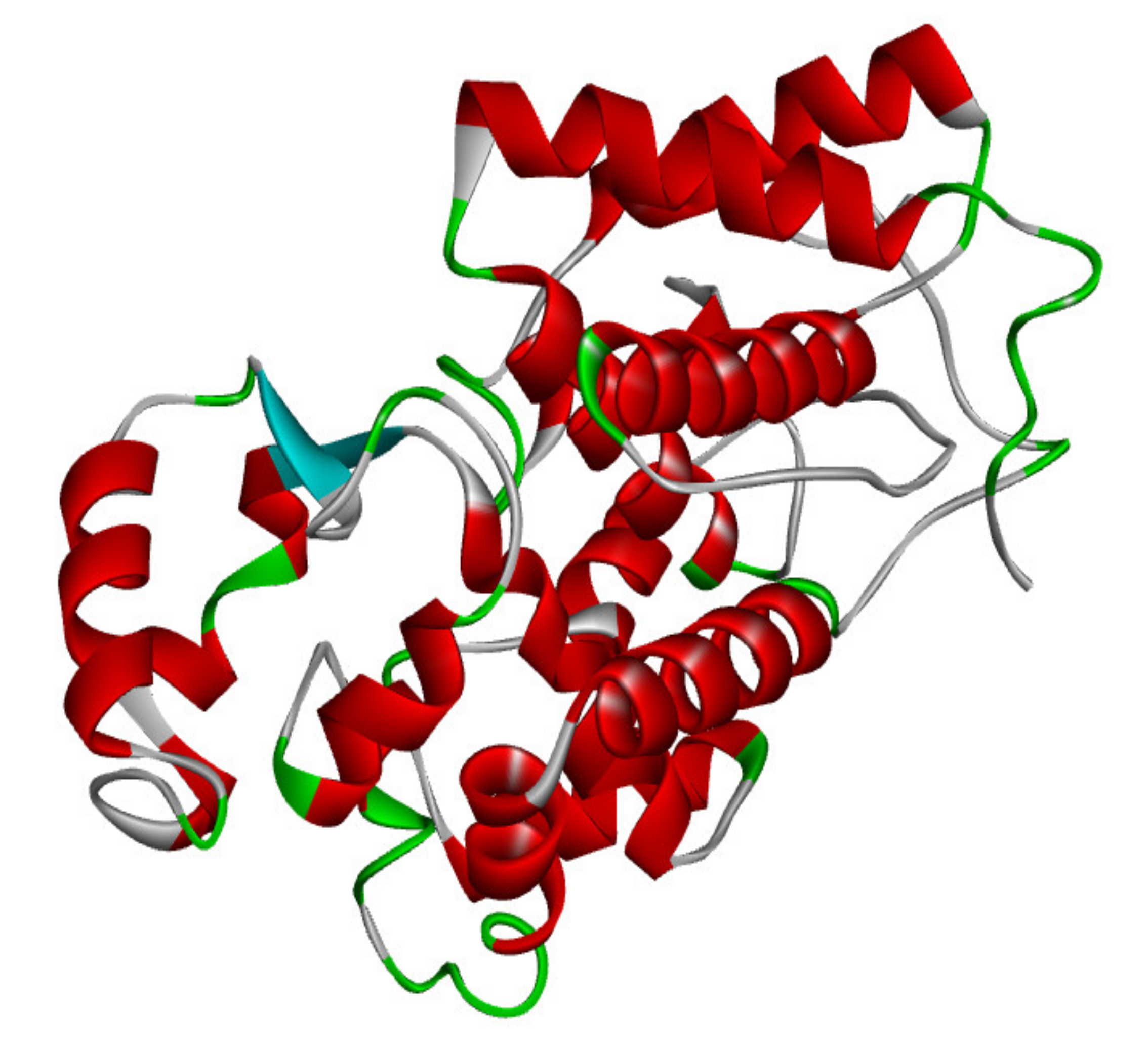Sustainability 13 08620 g002