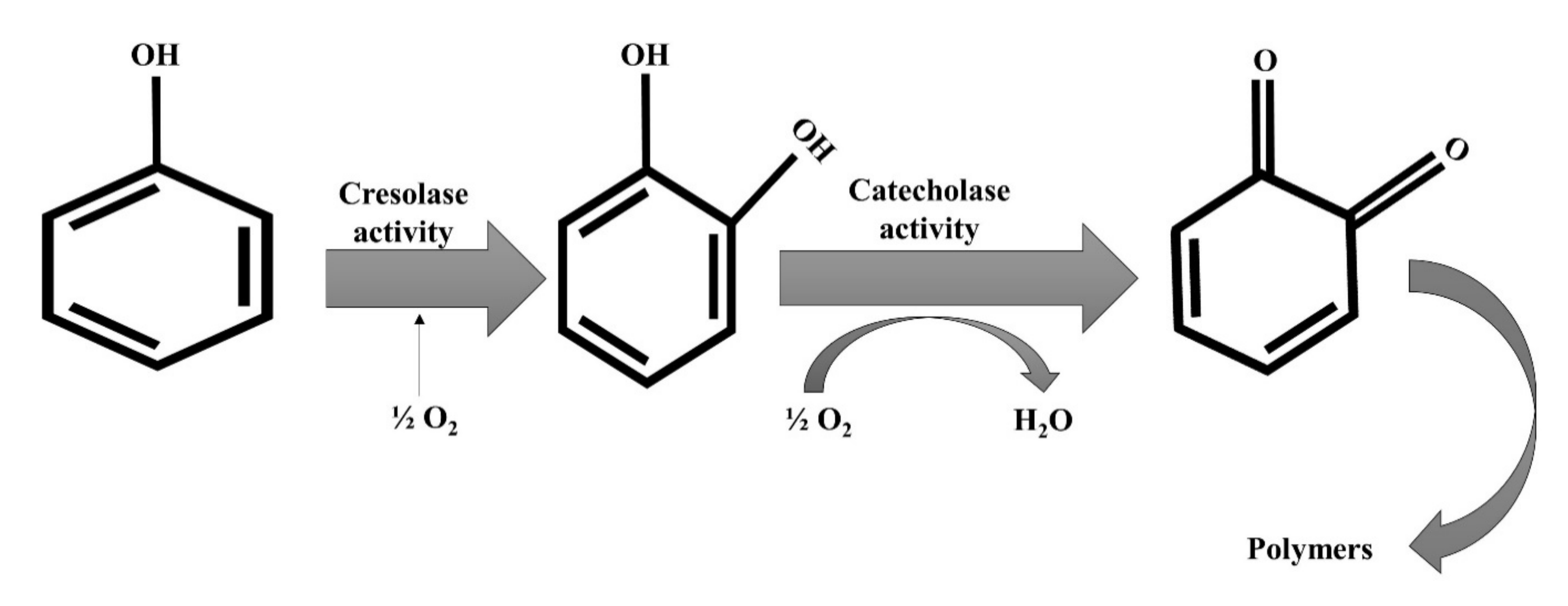 Sustainability 13 08620 g003
