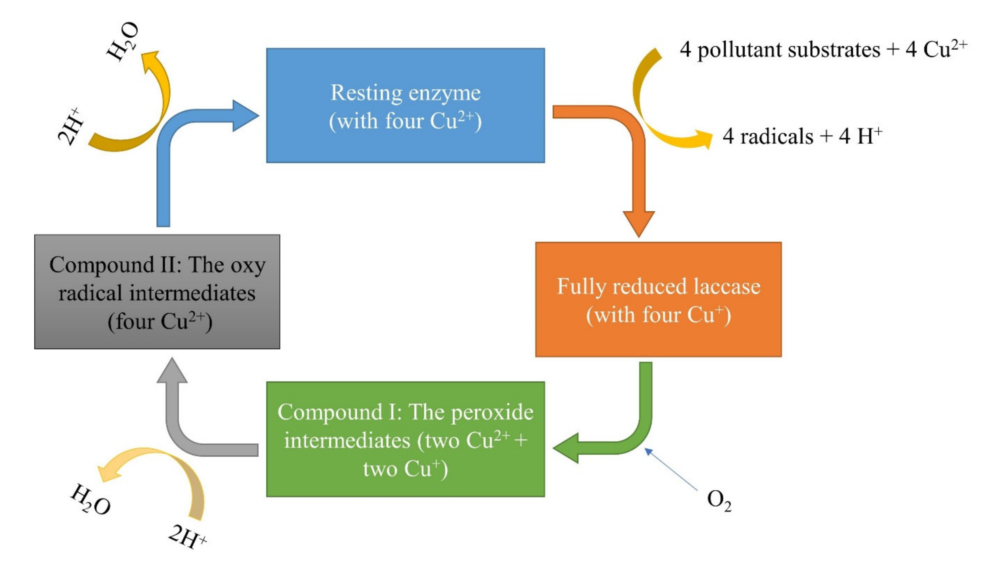 Sustainability 13 08620 g006