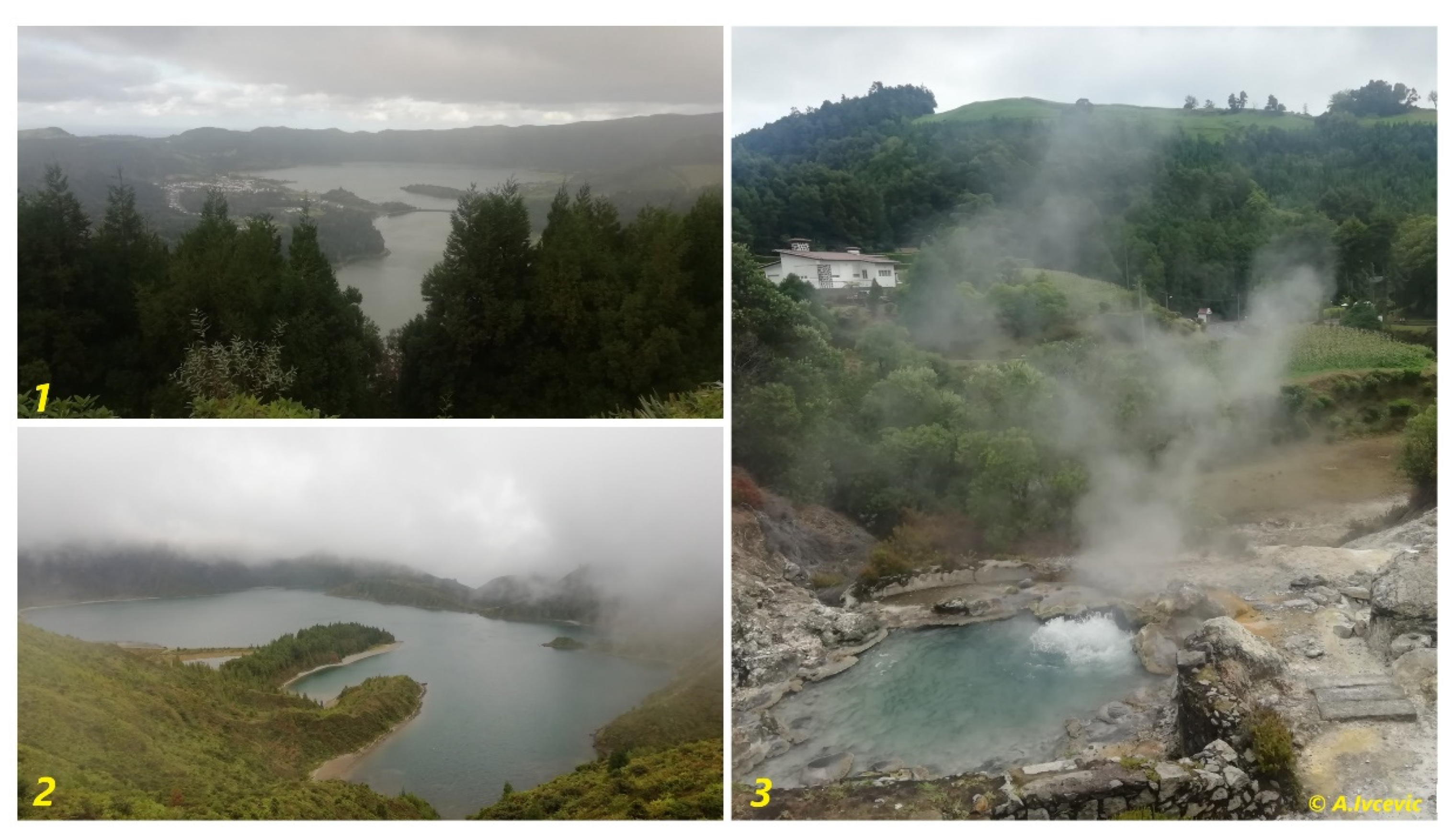 Sustainability 13 08653 g002 550