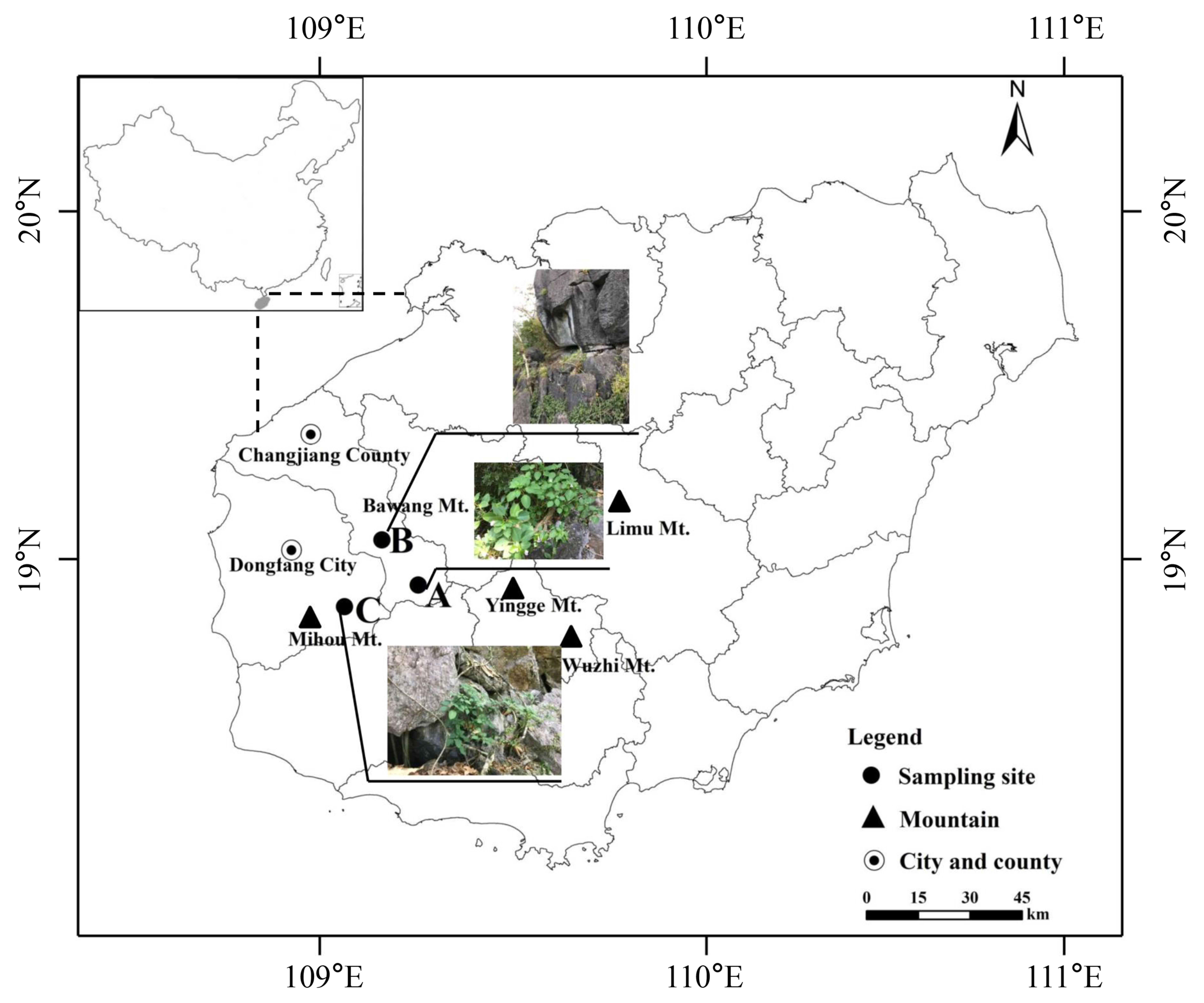 Sustainability 13 08721 g002 Sustainability 13 08721 g002