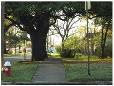 Sustainability 13 08728 i010