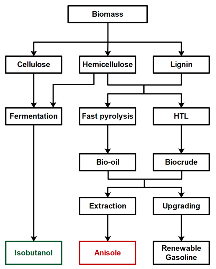 Sustainability 13 08729 g003 Sustainability 13 08729 g003