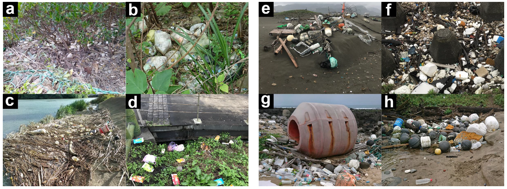 Sustainability 13 08765 g006