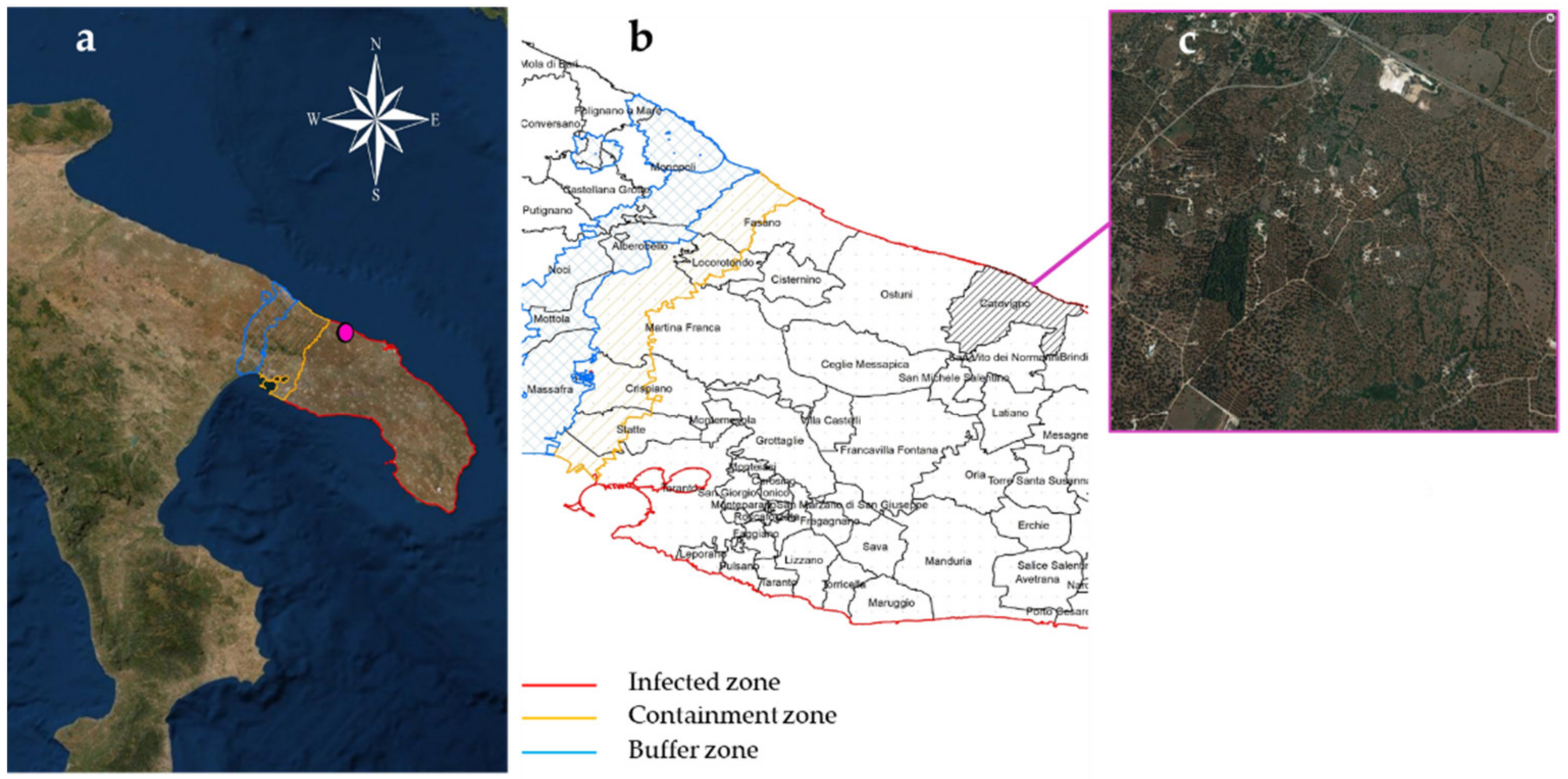 Sustainability 13 08778 g001 550