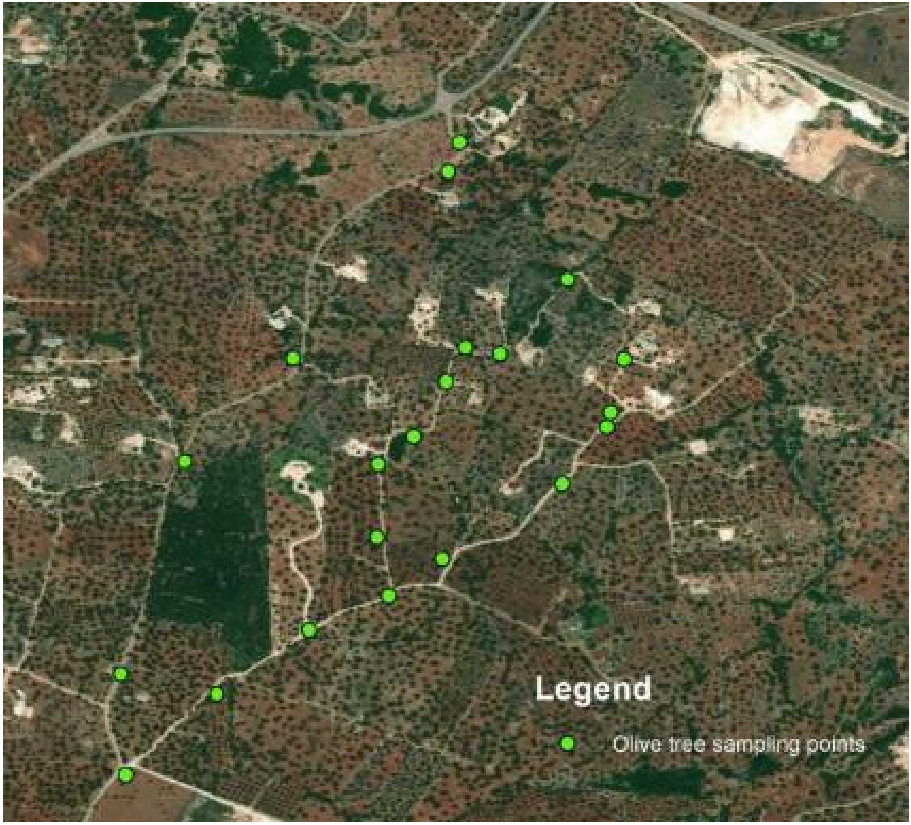 Sustainability 13 08778 g003 550