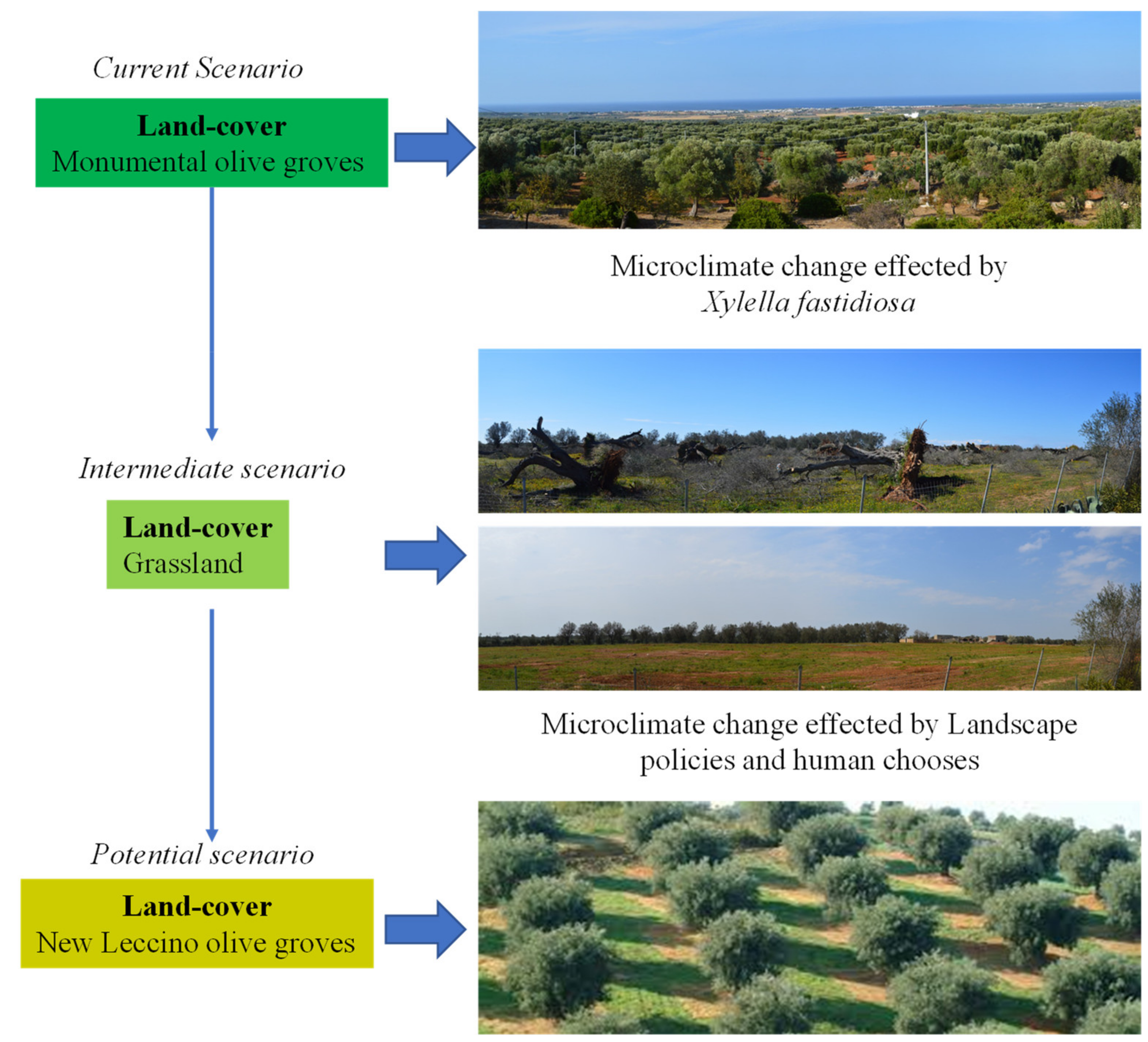 Sustainability 13 08778 g004 550