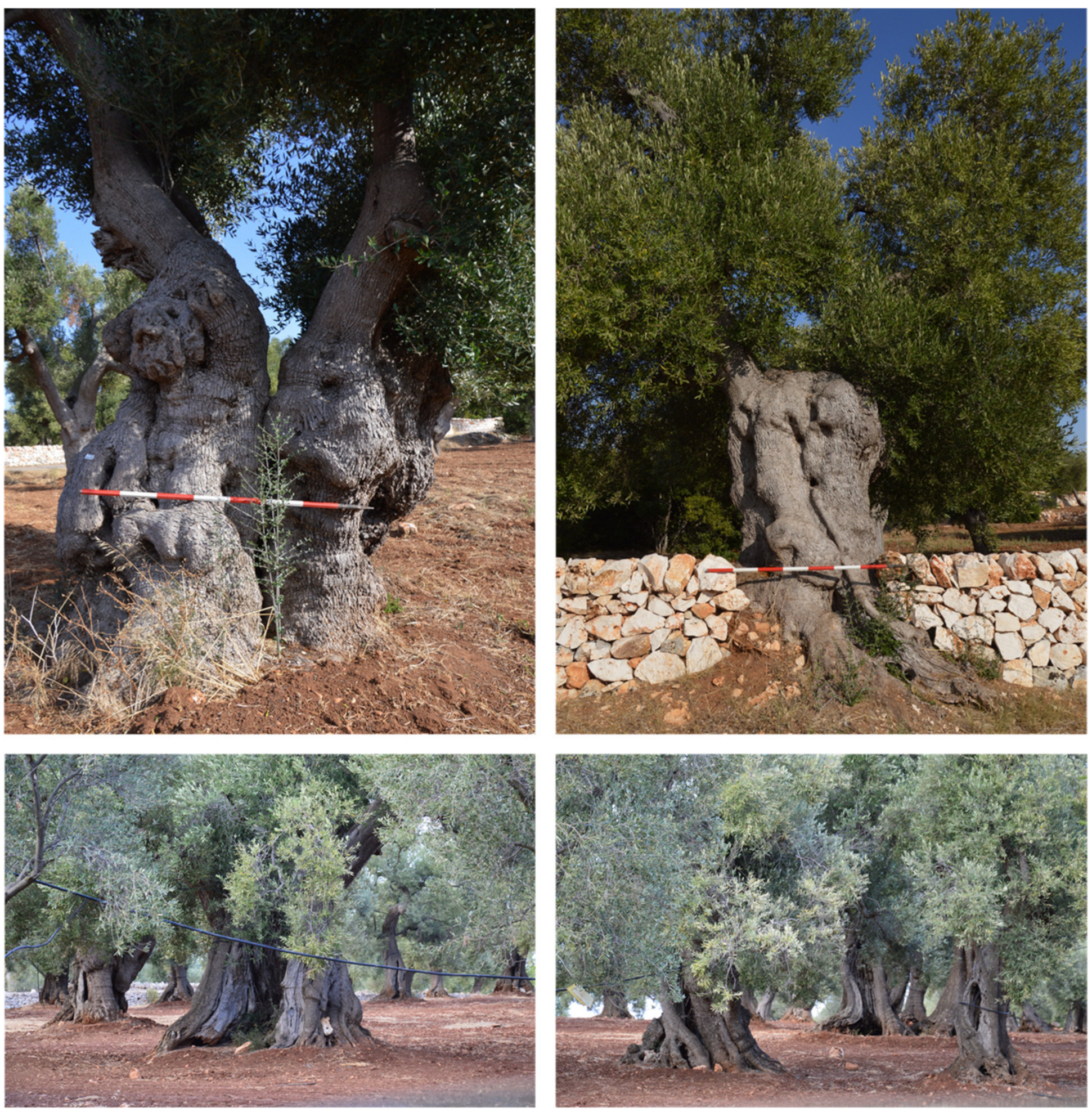 Sustainability 13 08778 g008 550