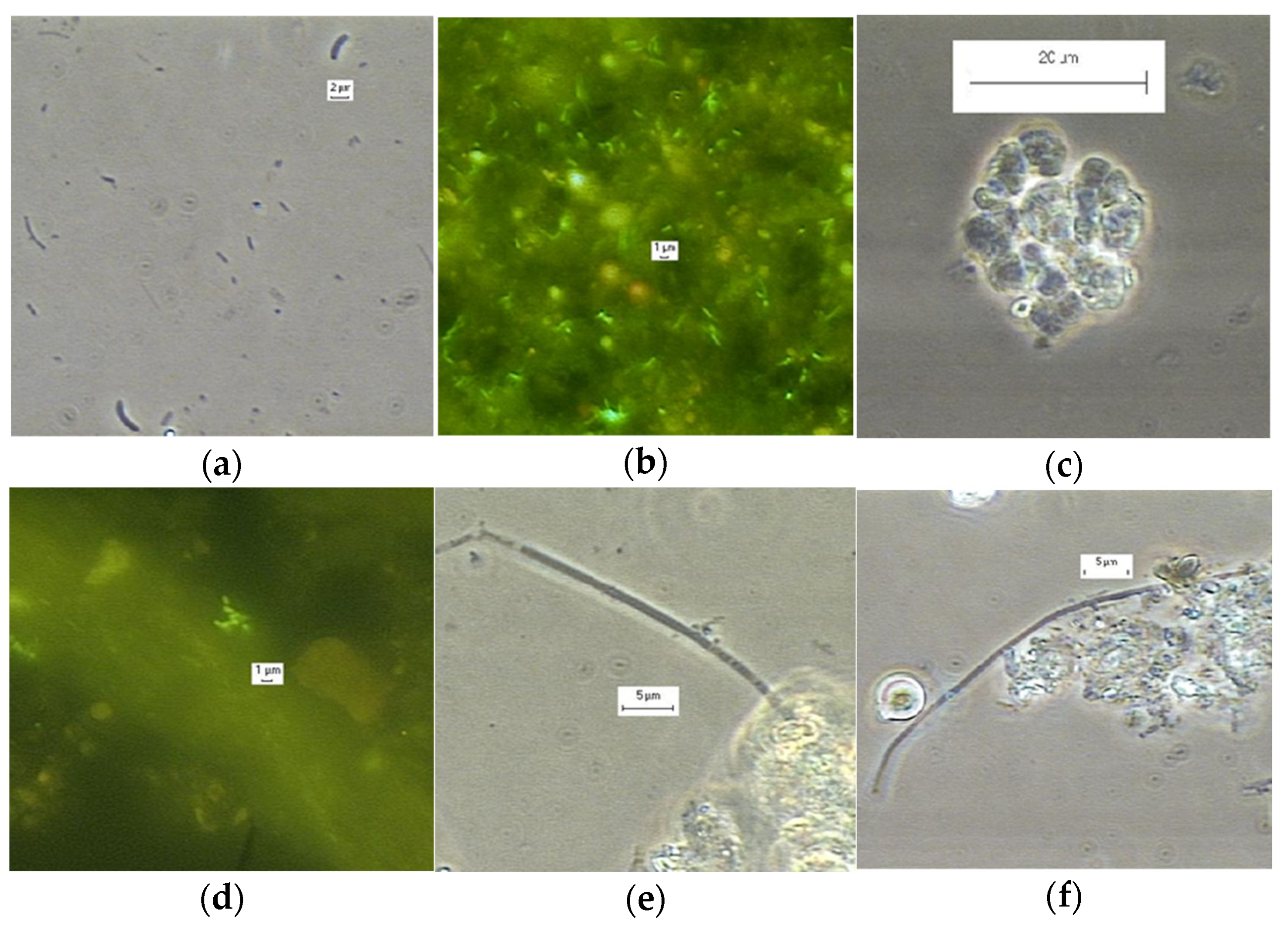 Sustainability 13 08783 g004 Sustainability 13 08783 g004