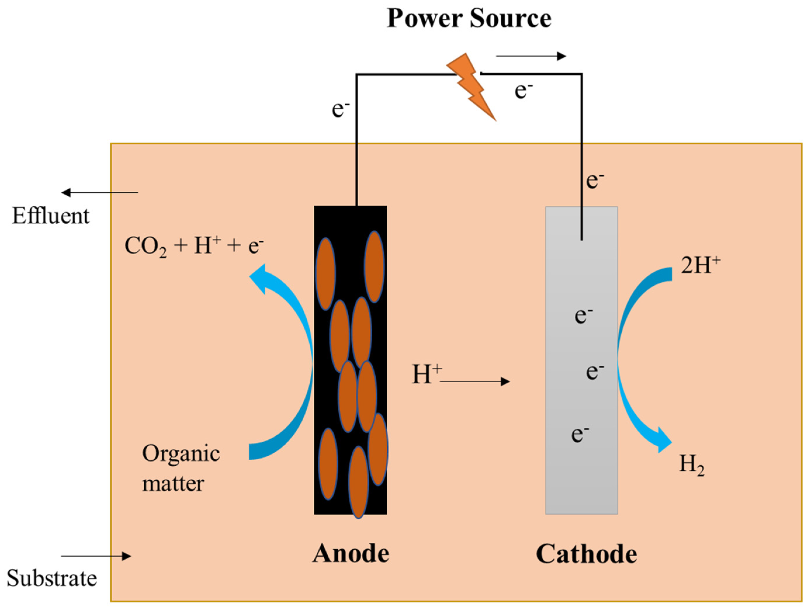 Sustainability 13 08796 g004 550