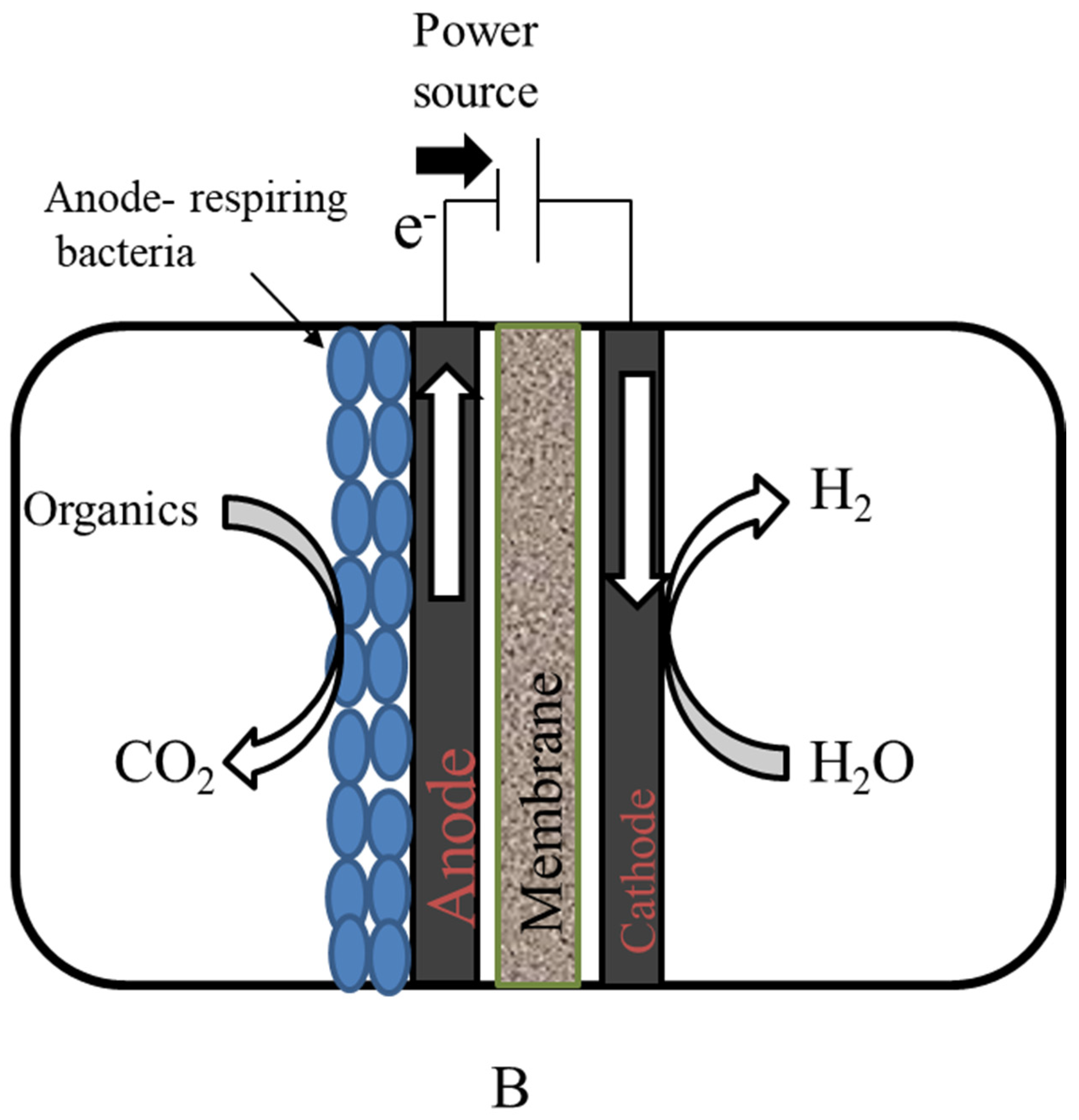 Sustainability 13 08796 g007b 550