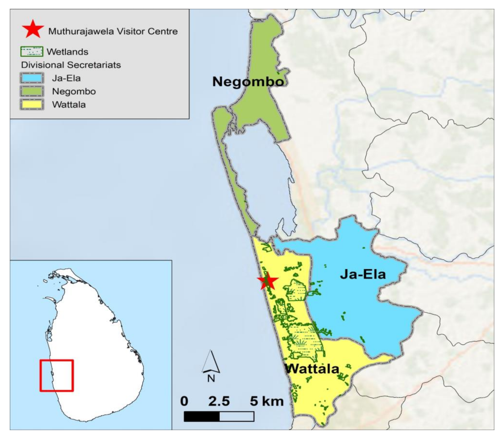 Sustainability 13 08802 g001