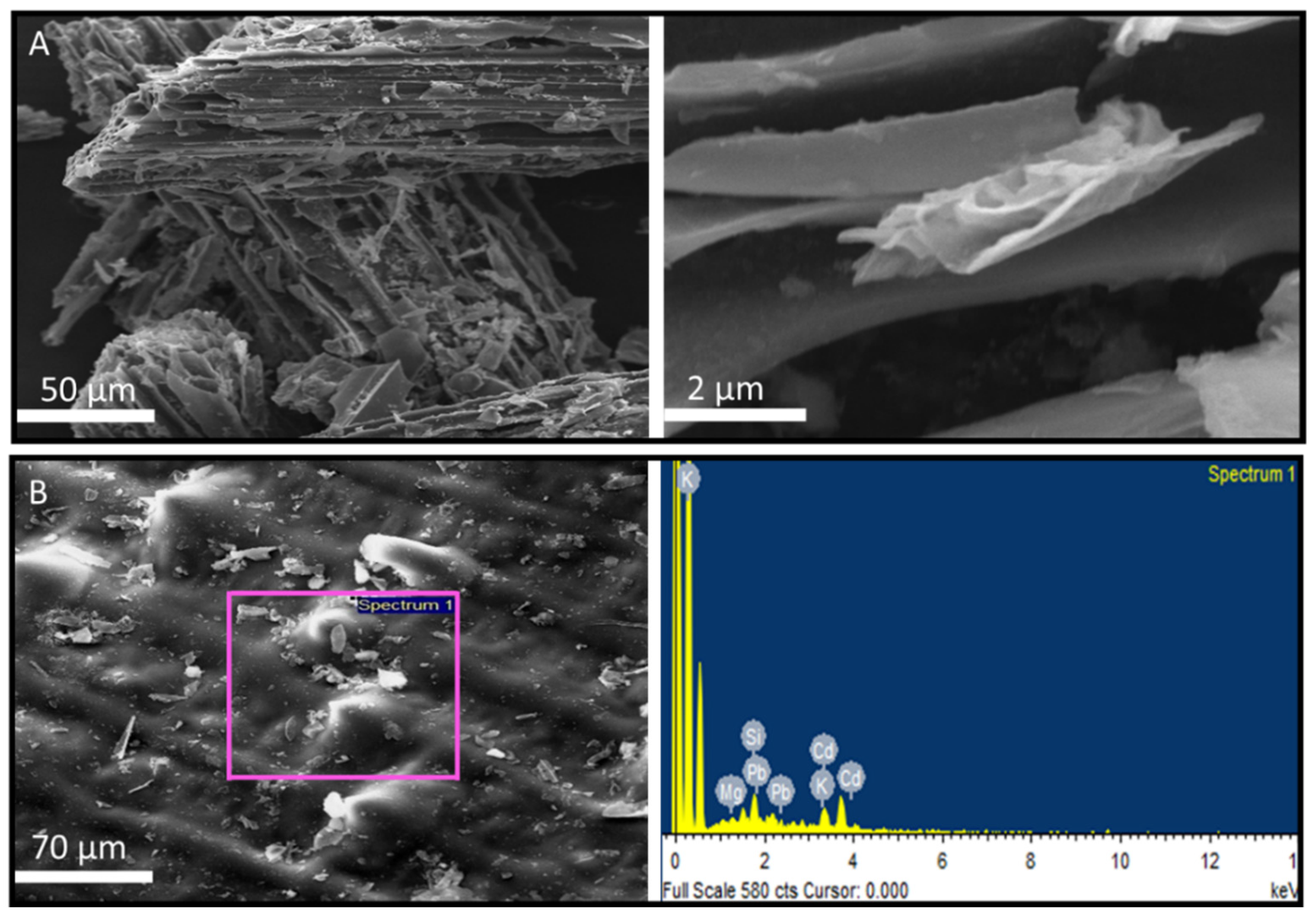 Sustainability 13 08817 g001