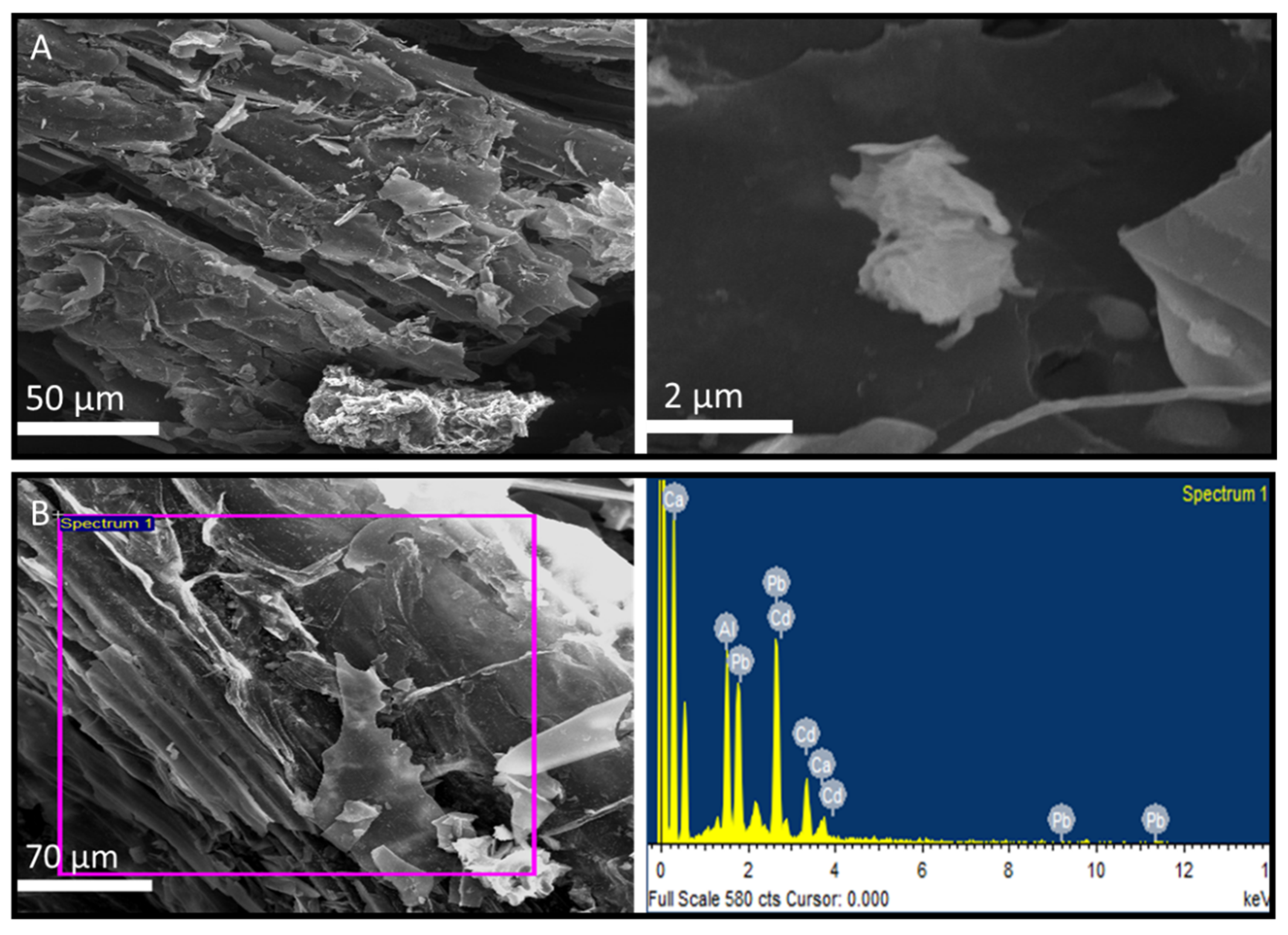 Sustainability 13 08817 g007