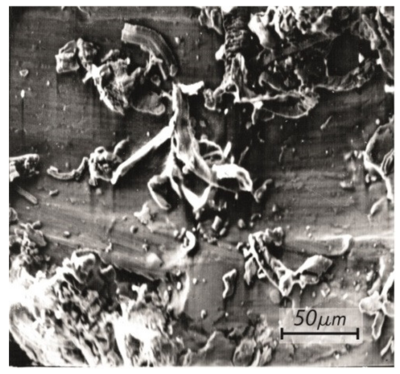 Sustainability 13 08823 g001