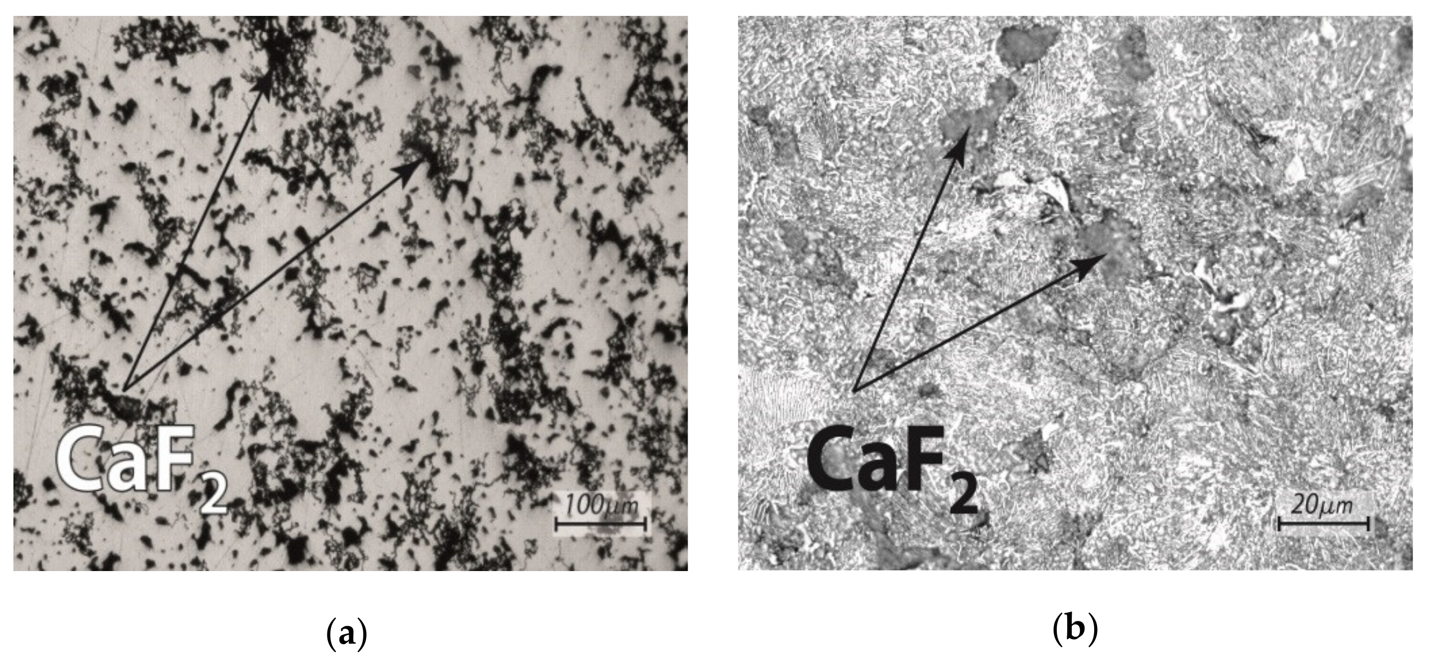 Sustainability 13 08823 g003