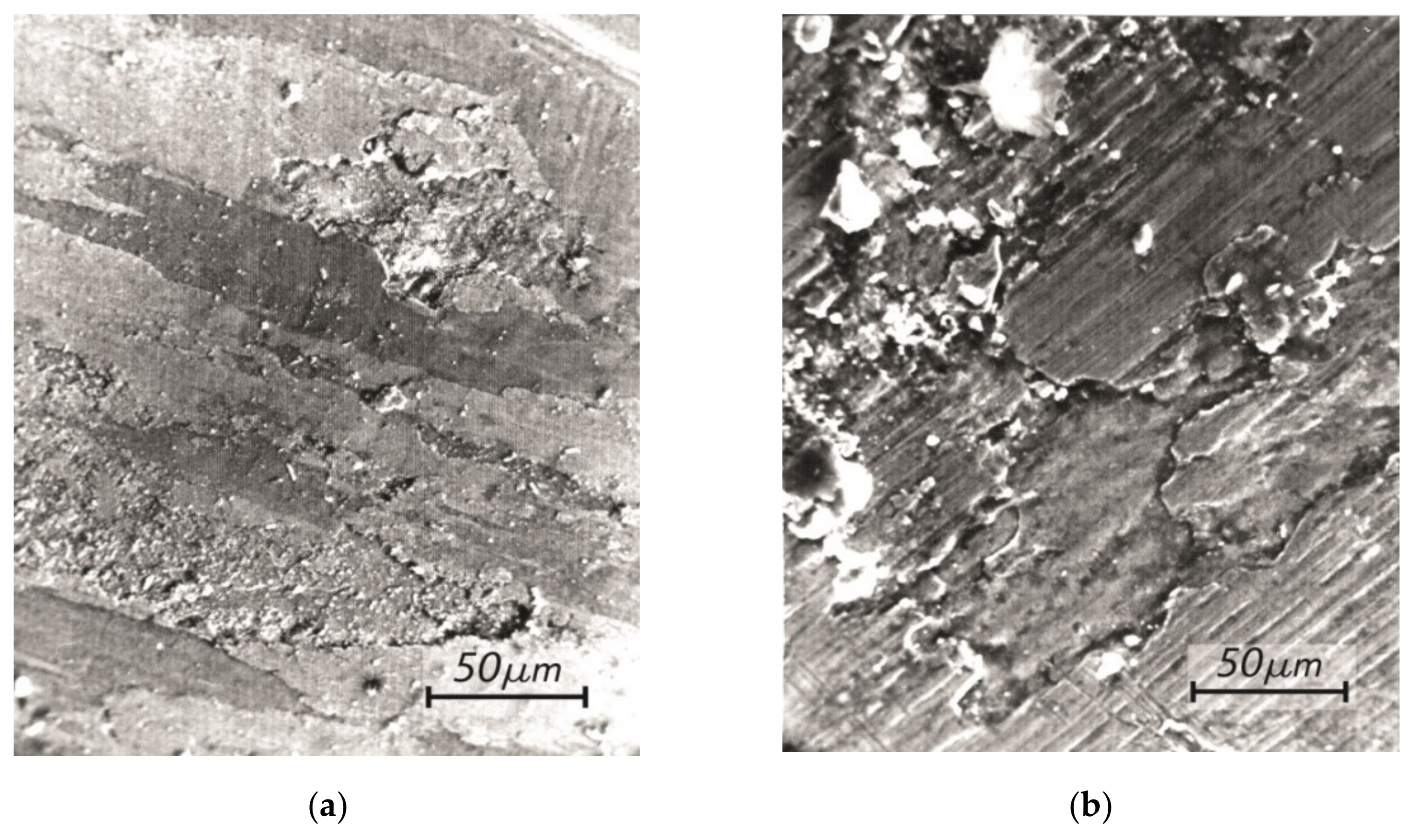Sustainability 13 08823 g004