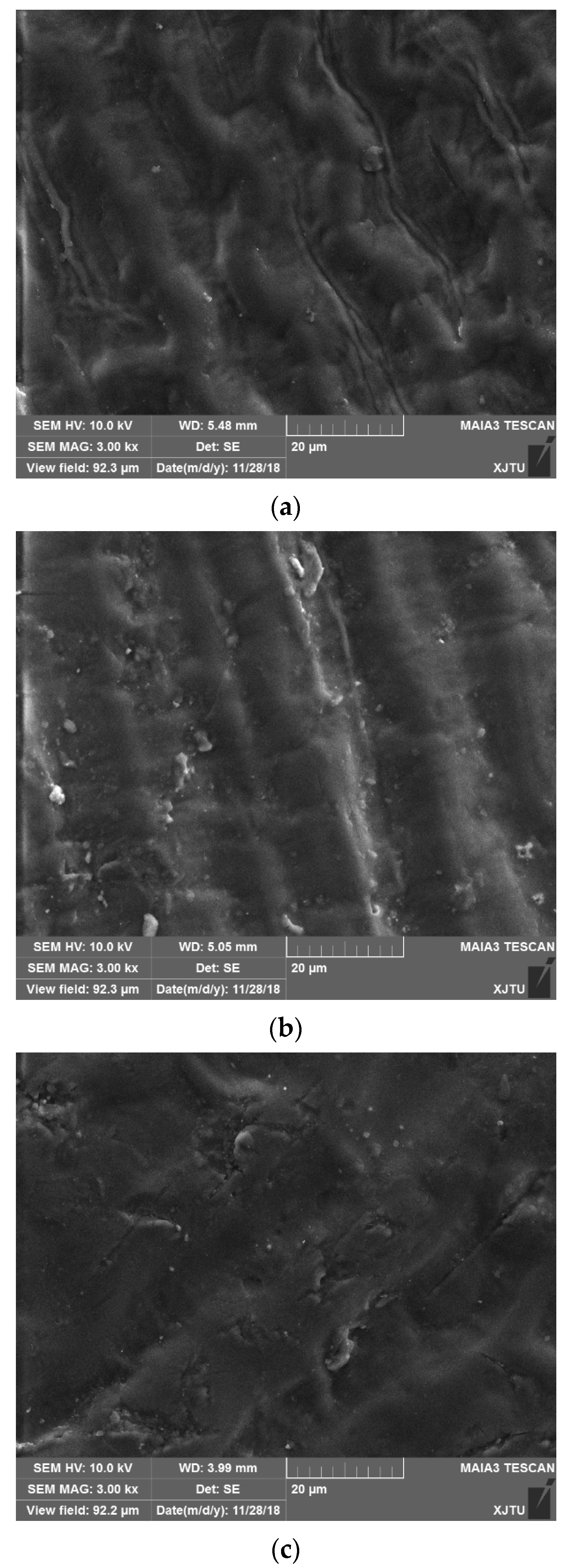 Sustainability 13 08830 g003