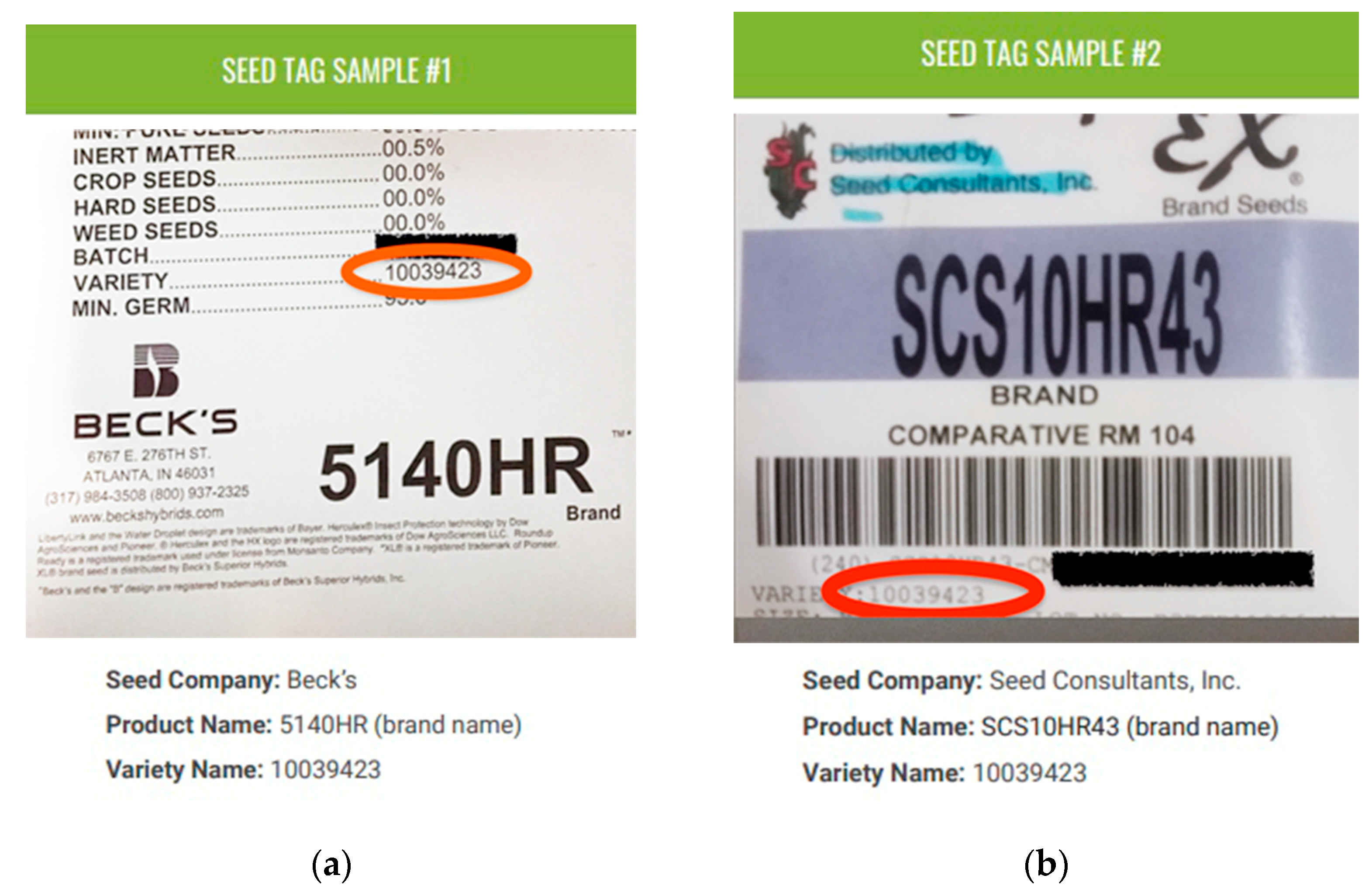 Sustainability 13 08843 g001 550