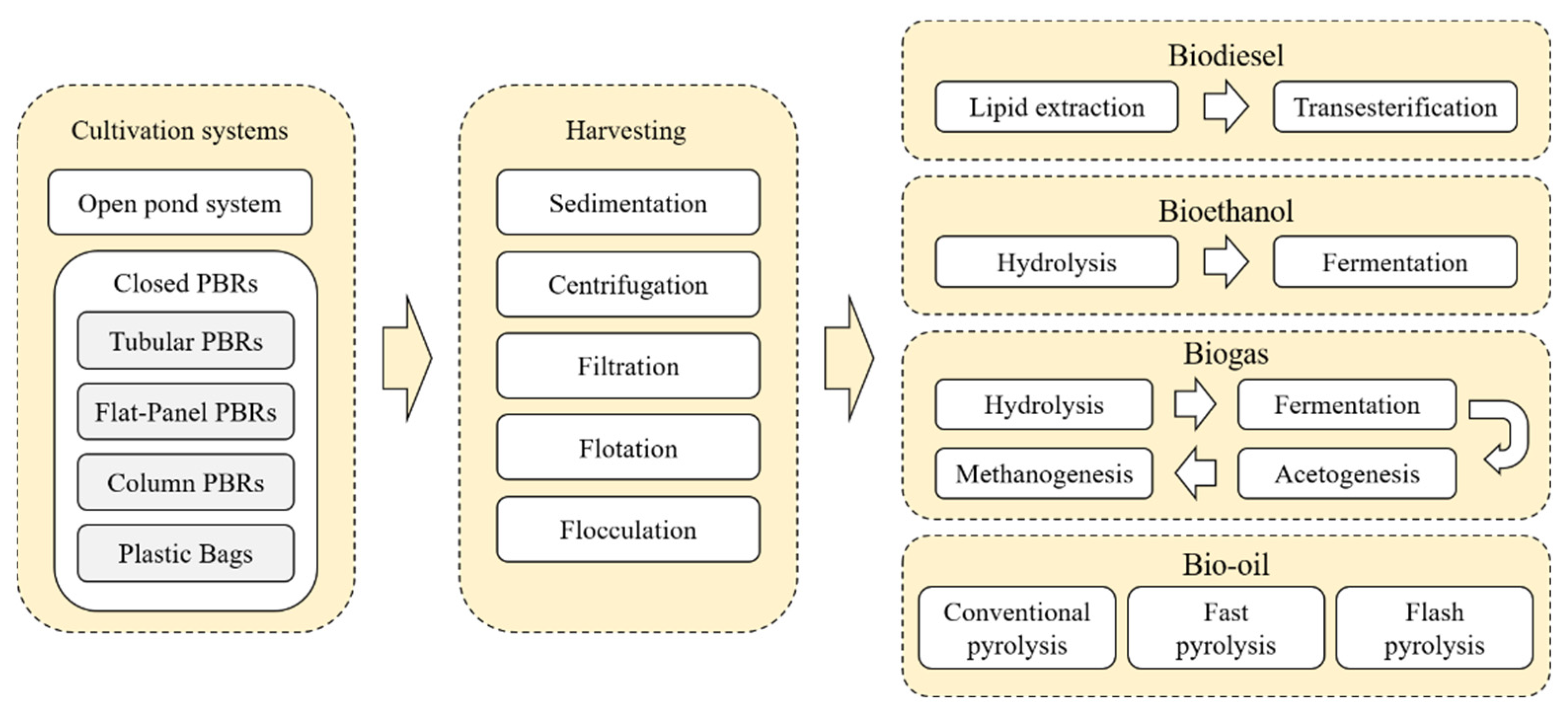 Sustainability 13 08873 g001