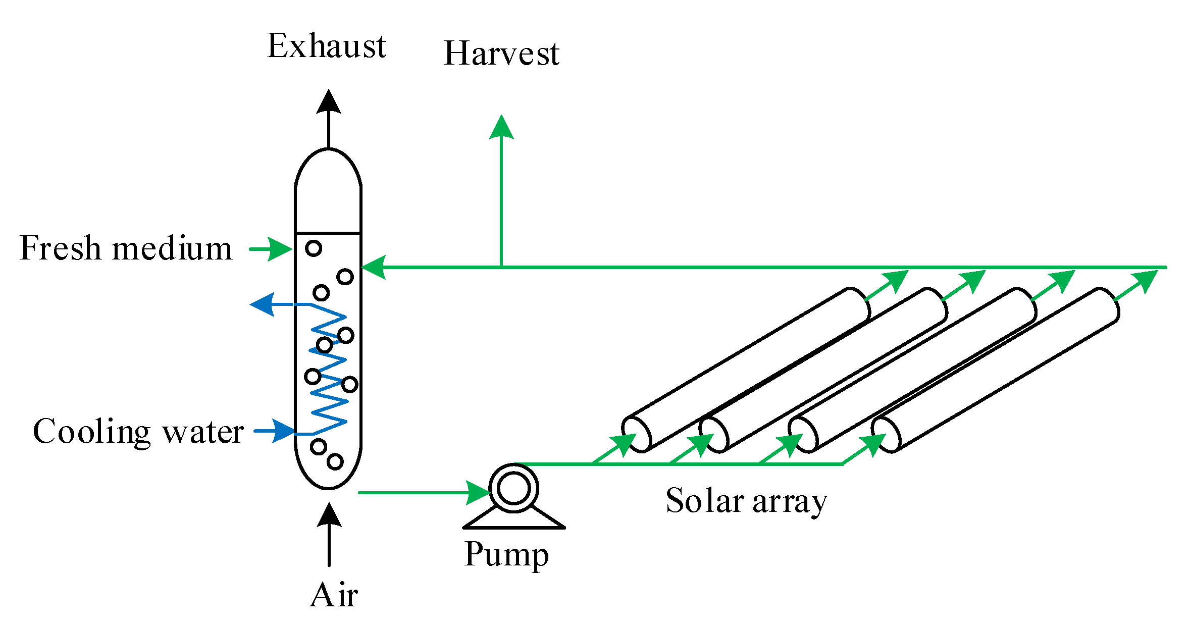 Sustainability 13 08873 g003