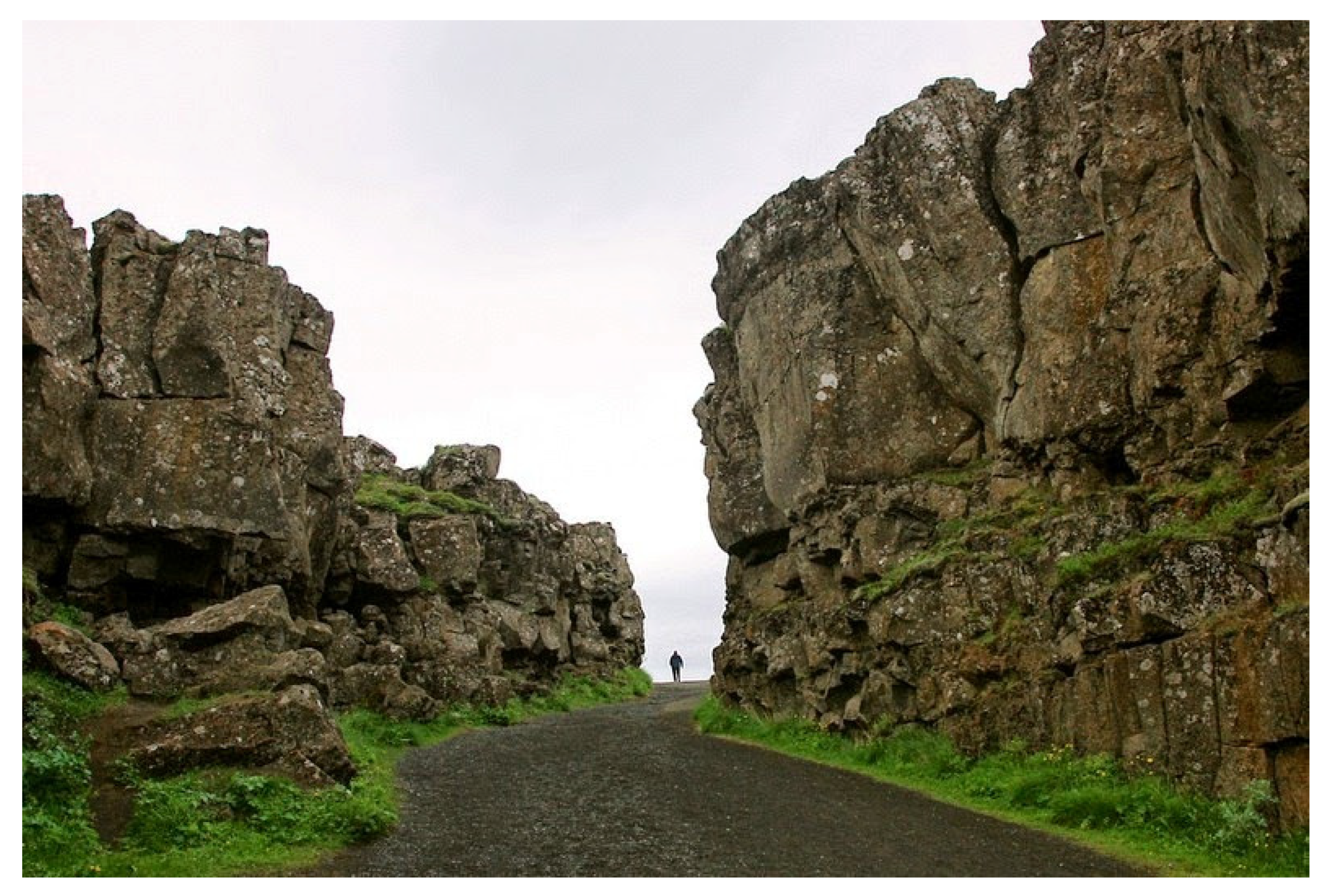 Sustainability 13 08874 g005 550