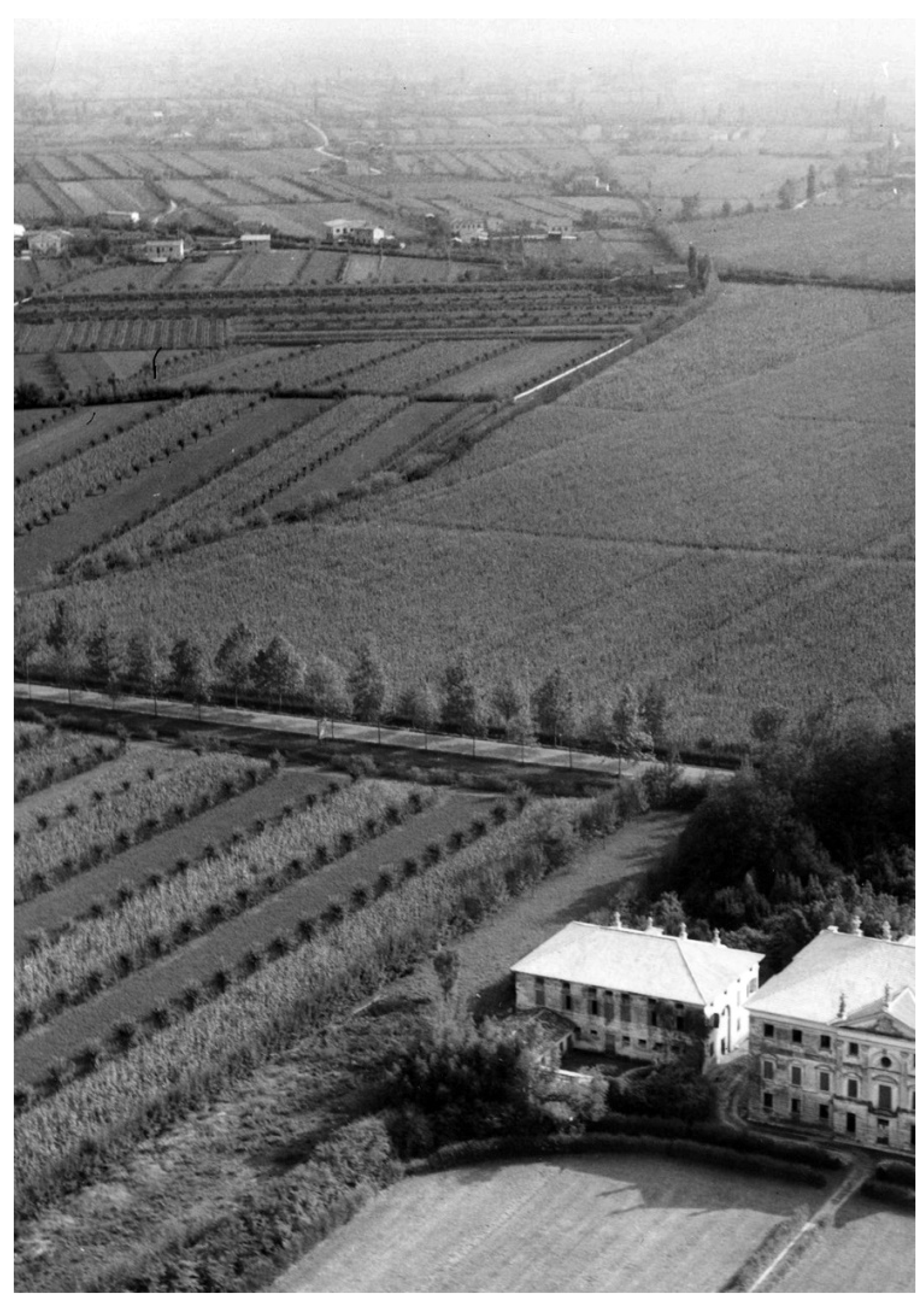 Sustainability 13 08879 g001 550