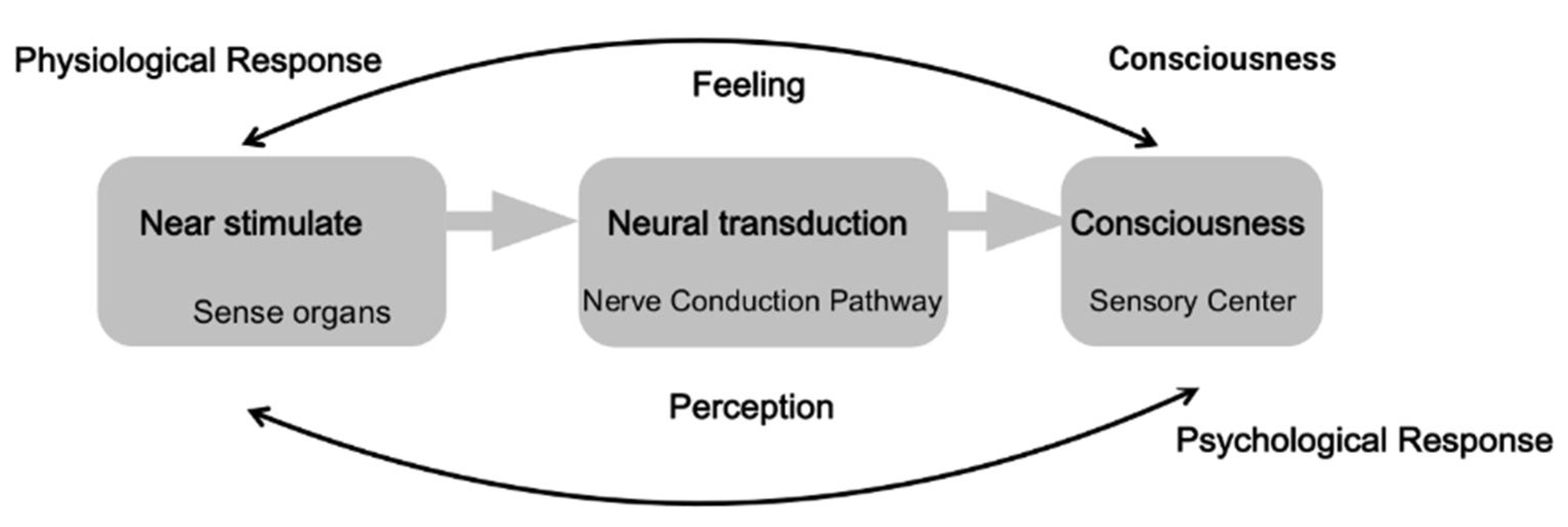 Sustainability 13 08884 g001 550