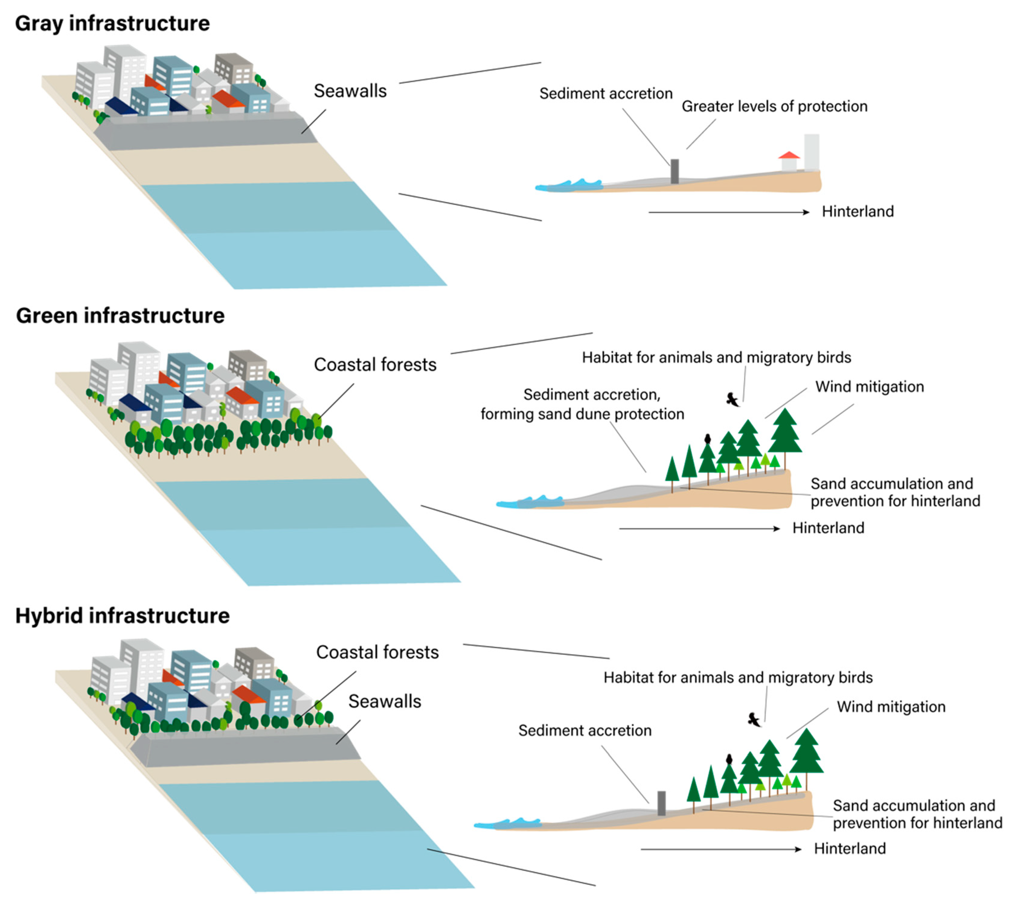 Preference Heterogeneity of Coastal Gray, Green, and Hybrid Preference Heterogeneity of Coastal Gray, Green, and Hybrid