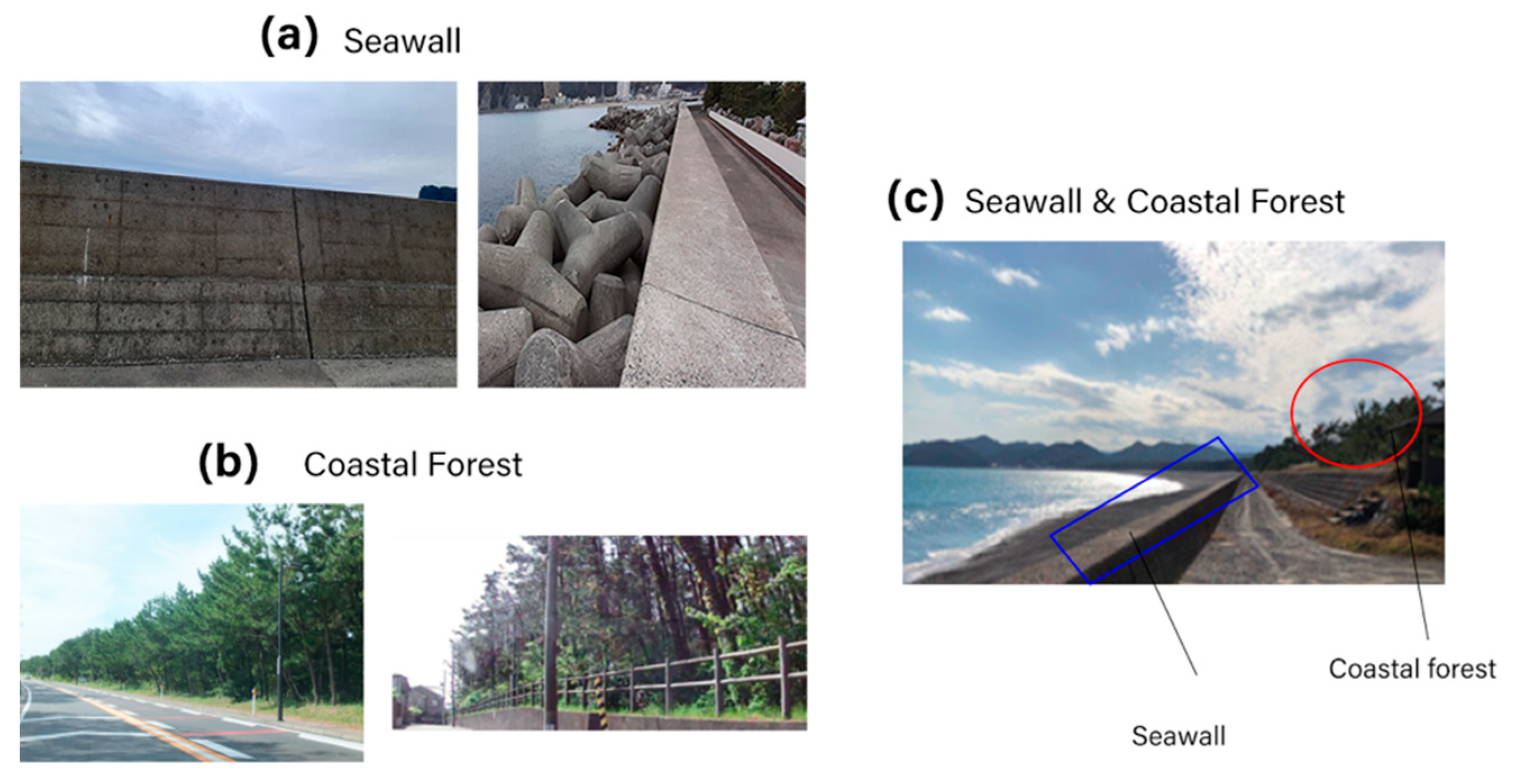 Sustainability 13 08927 g0a4 550