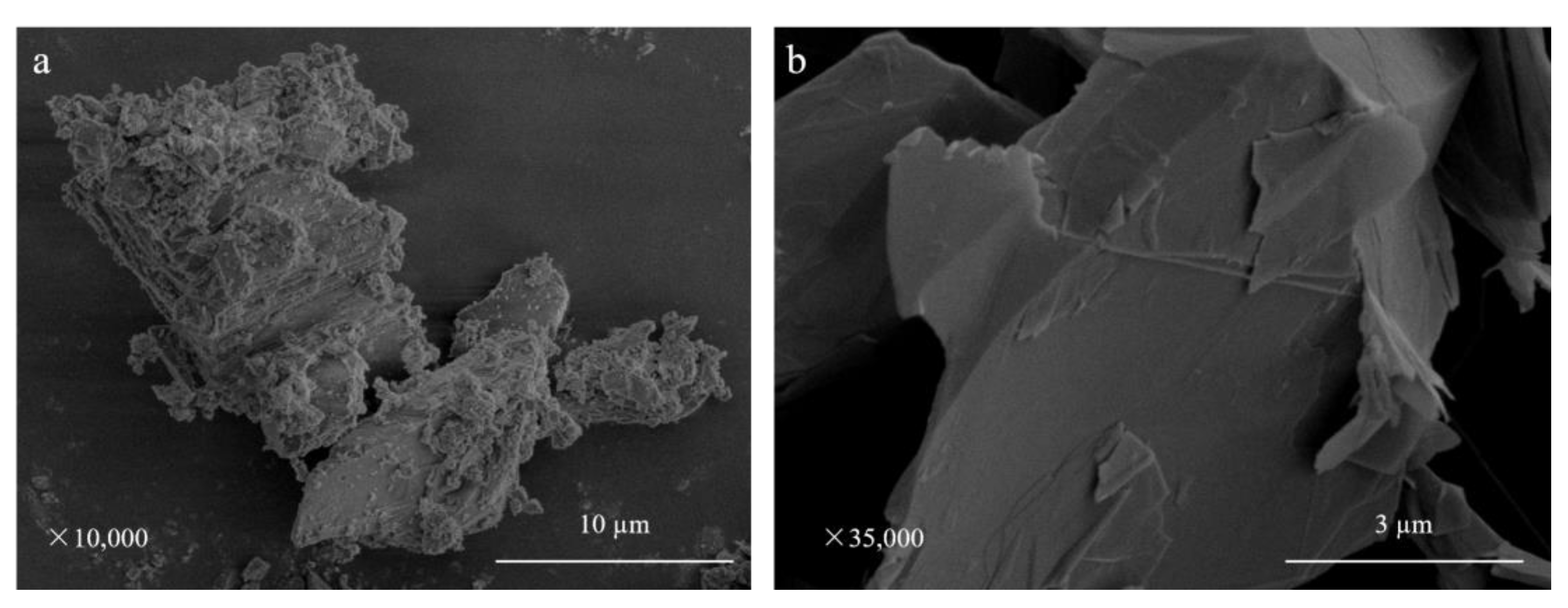 Sustainability 13 08932 g004