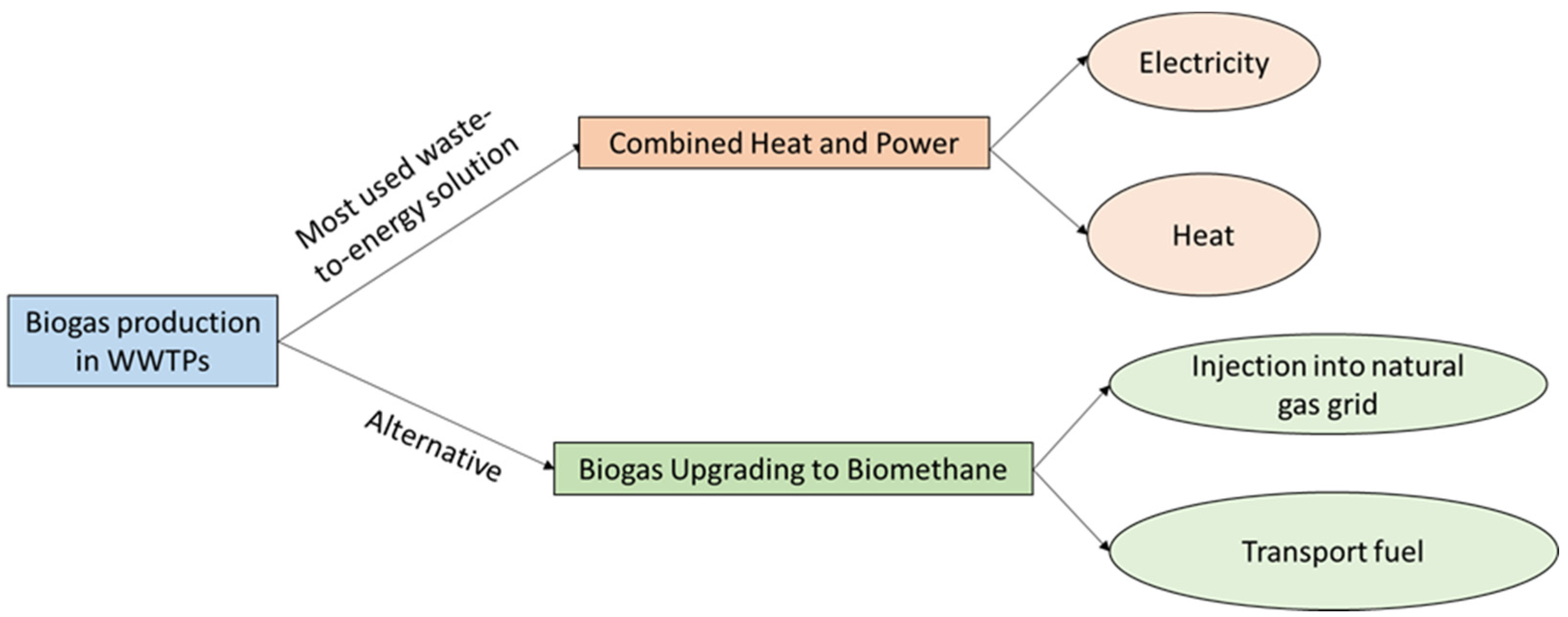 A pioneering study of biomethane and hydrogen production from the wine  industry in Brazil: Pollutant emissions, electricity generation and urban  bus fleet supply - ScienceDirect