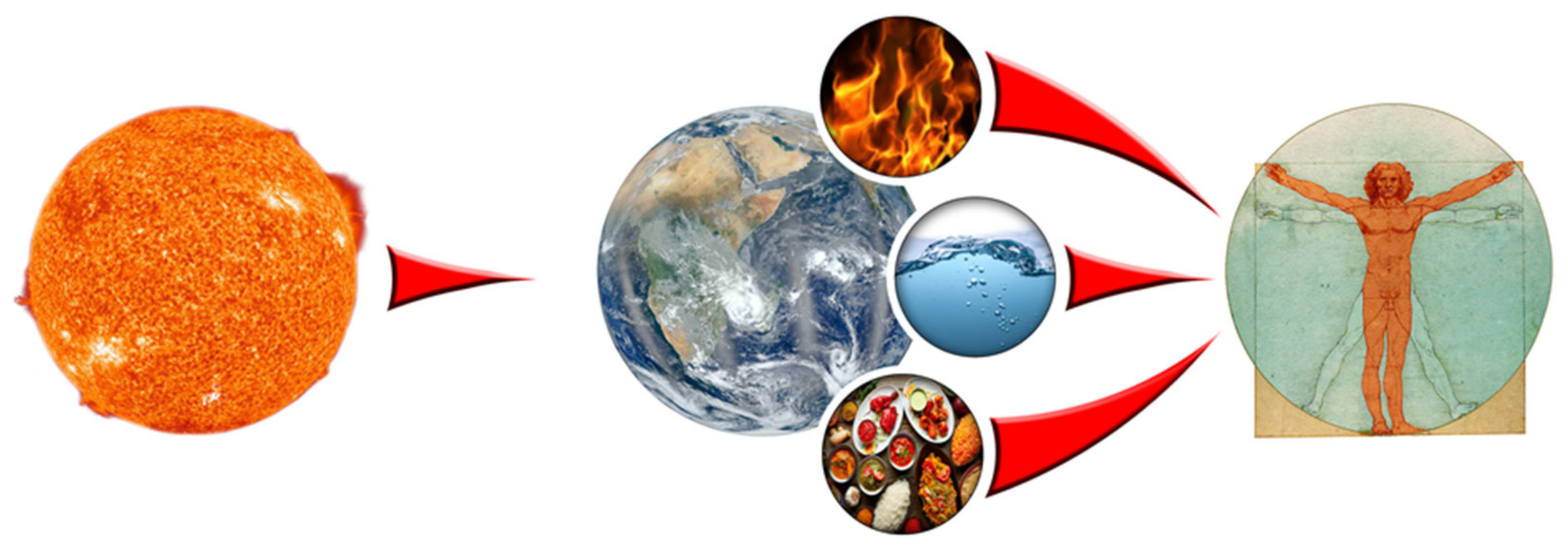 Sustainability 13 08935 g001