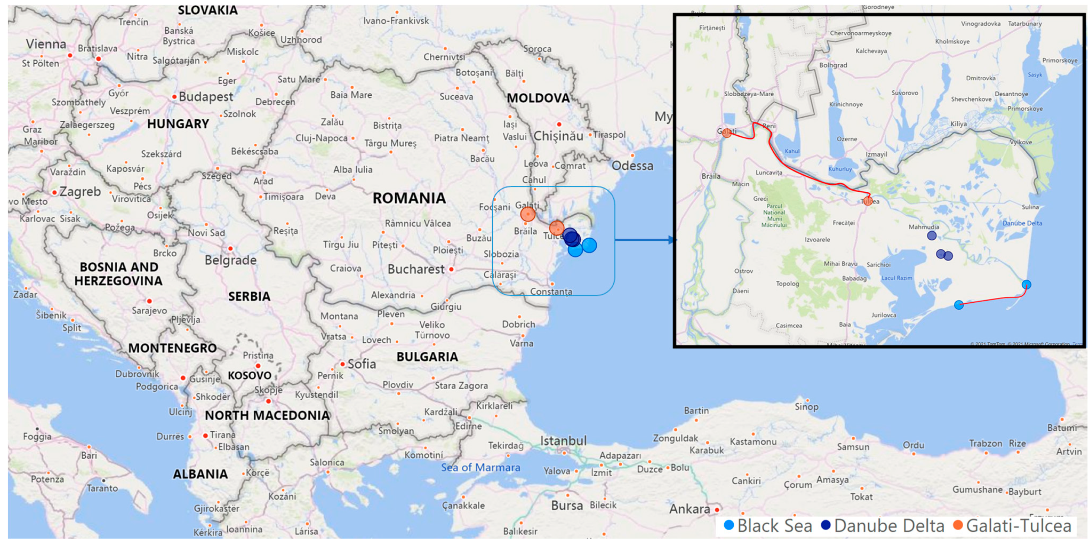 Sustainability 13 08936 g001