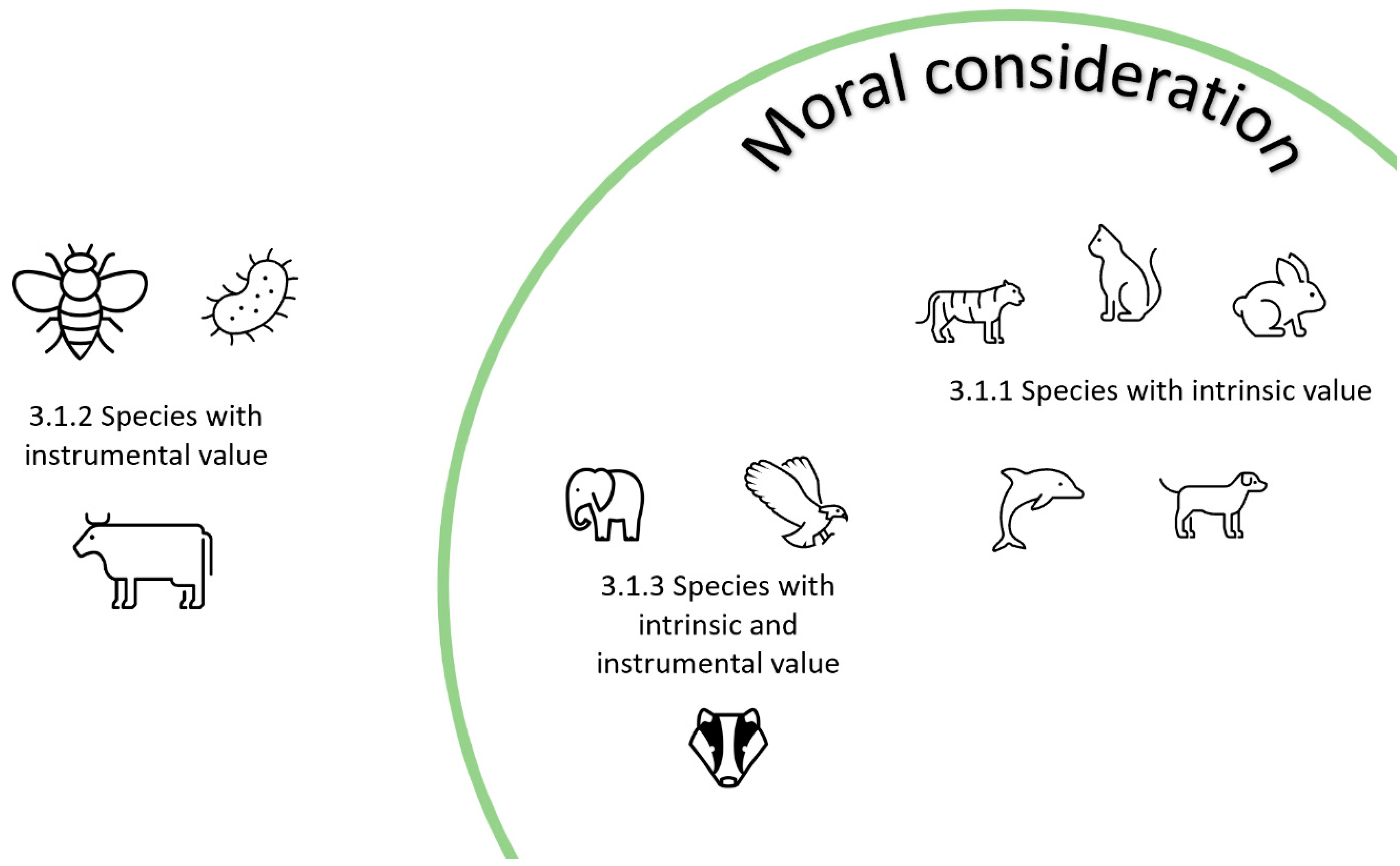 Sustainability 13 08944 g001