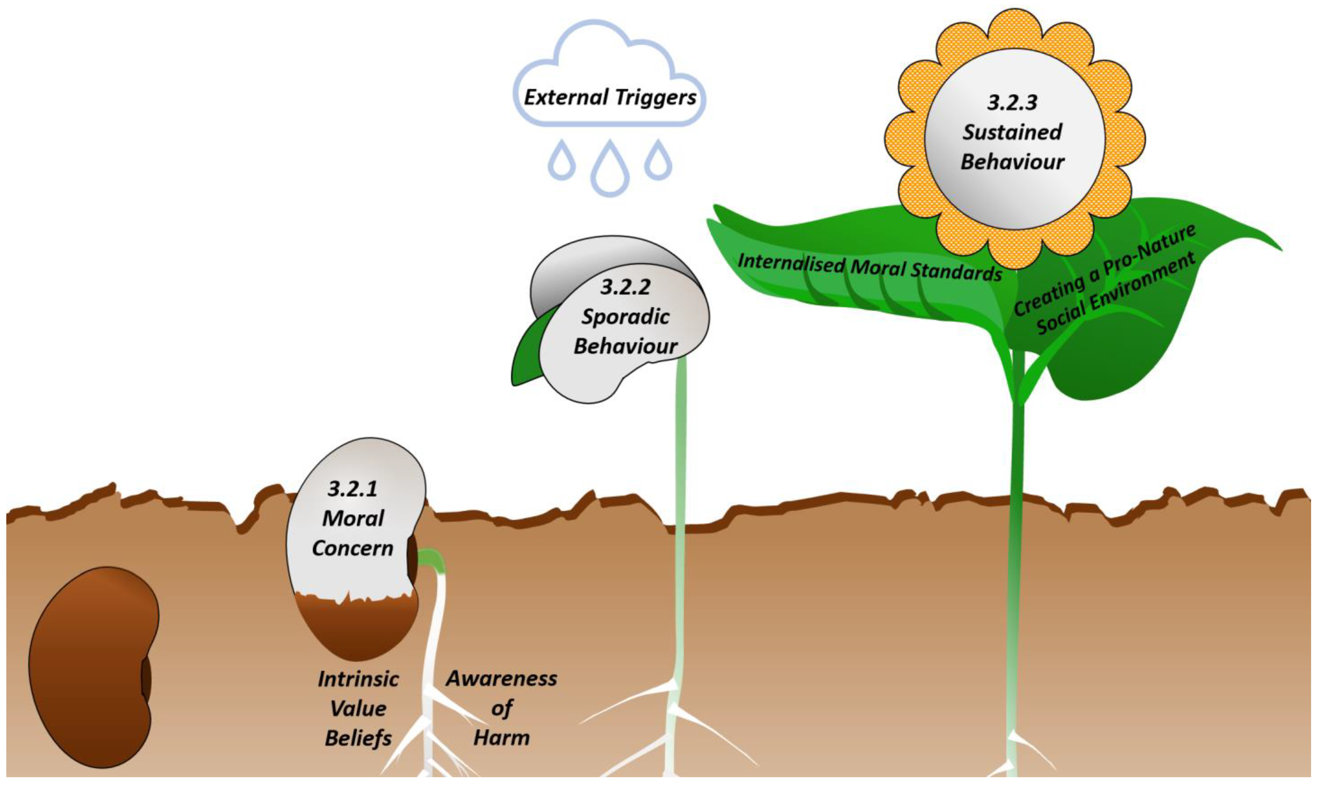 Sustainability 13 08944 g002