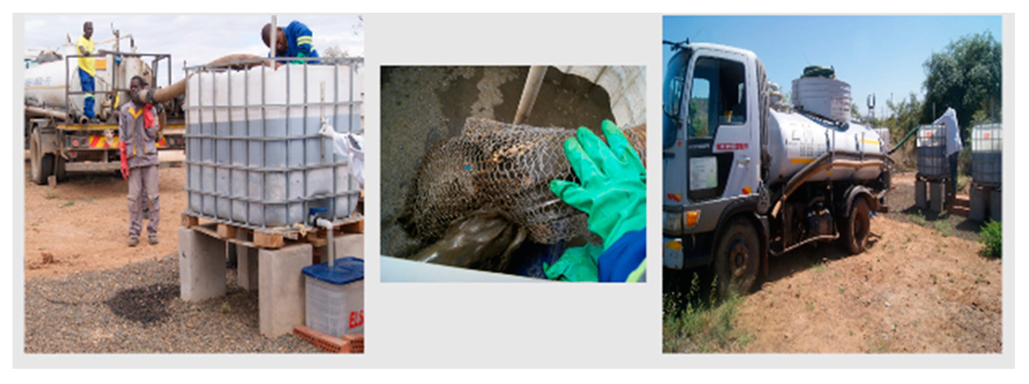 Sustainability 13 08981 g005