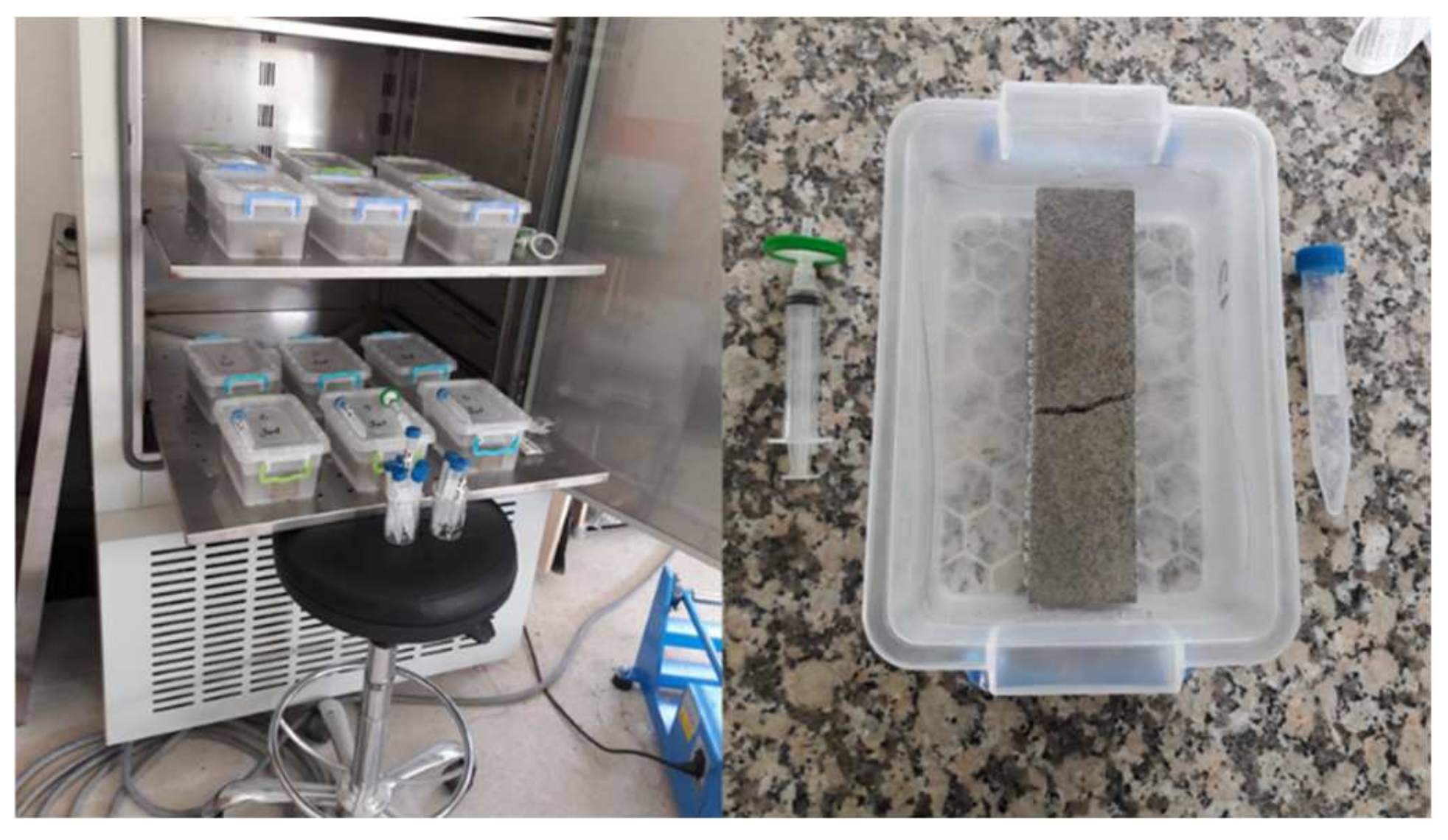 Sustainability 13 08990 g001 550