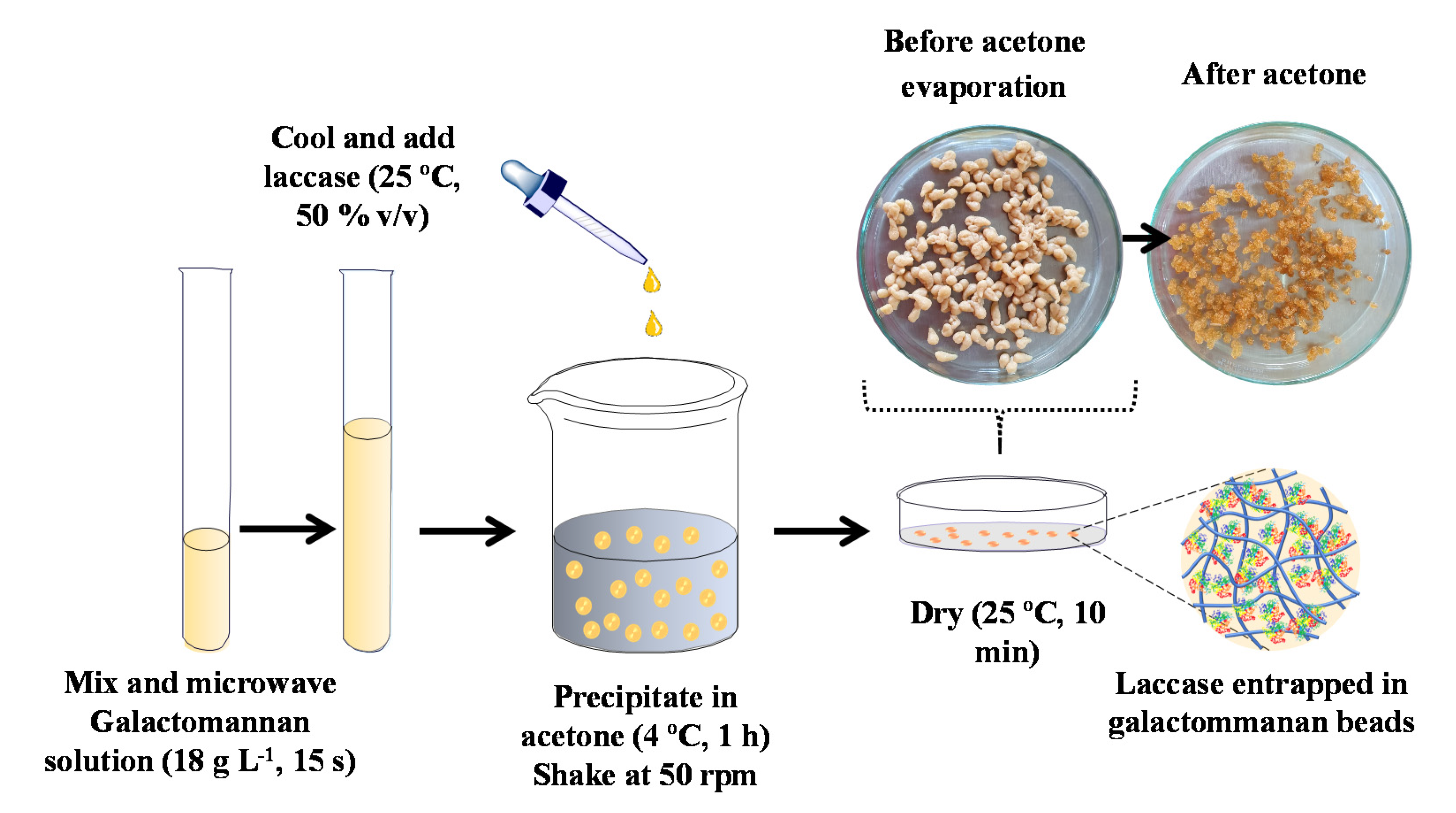 Sustainability 13 09019 g001