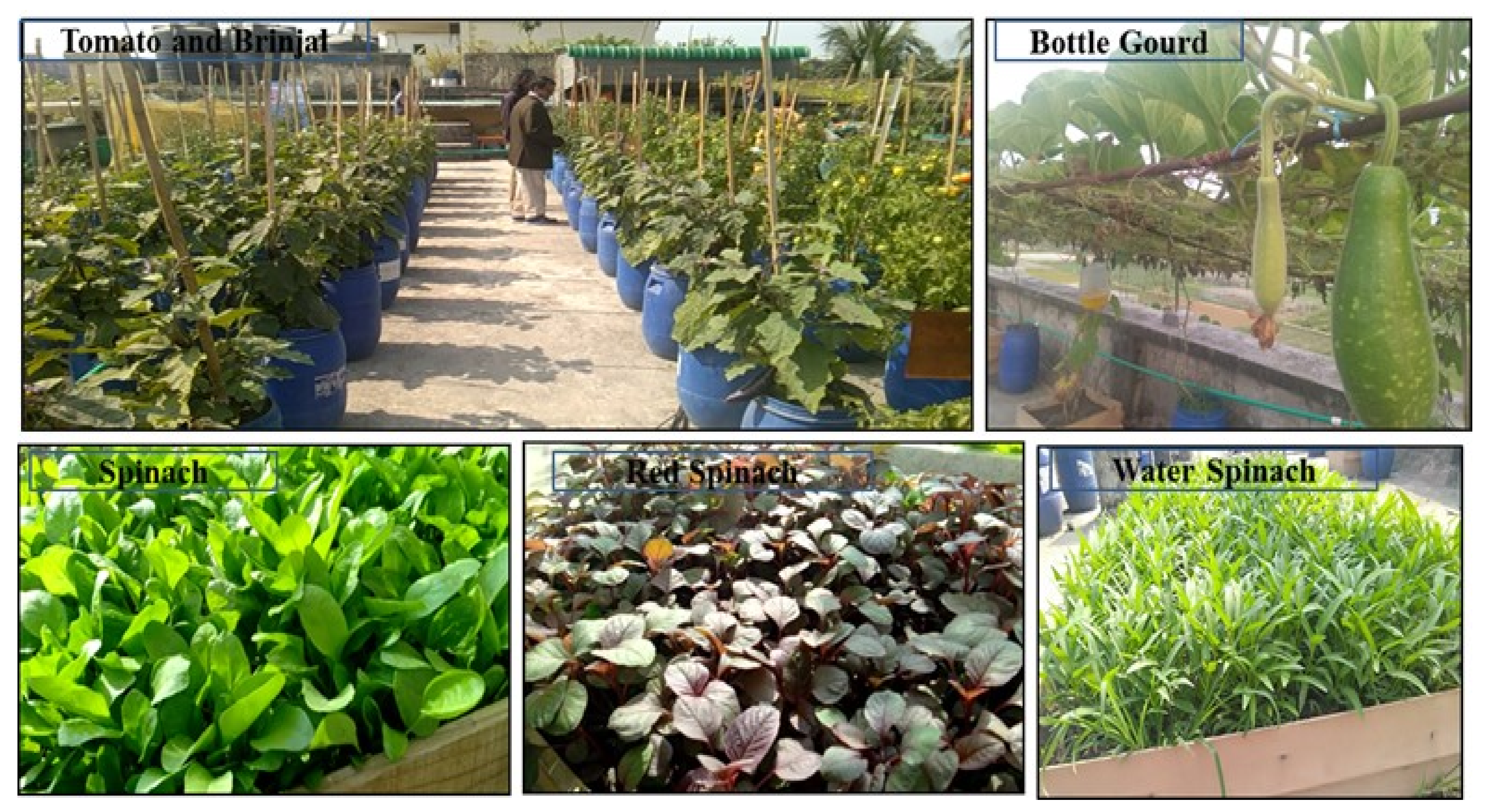 Sustainability 13 09053 g003 550