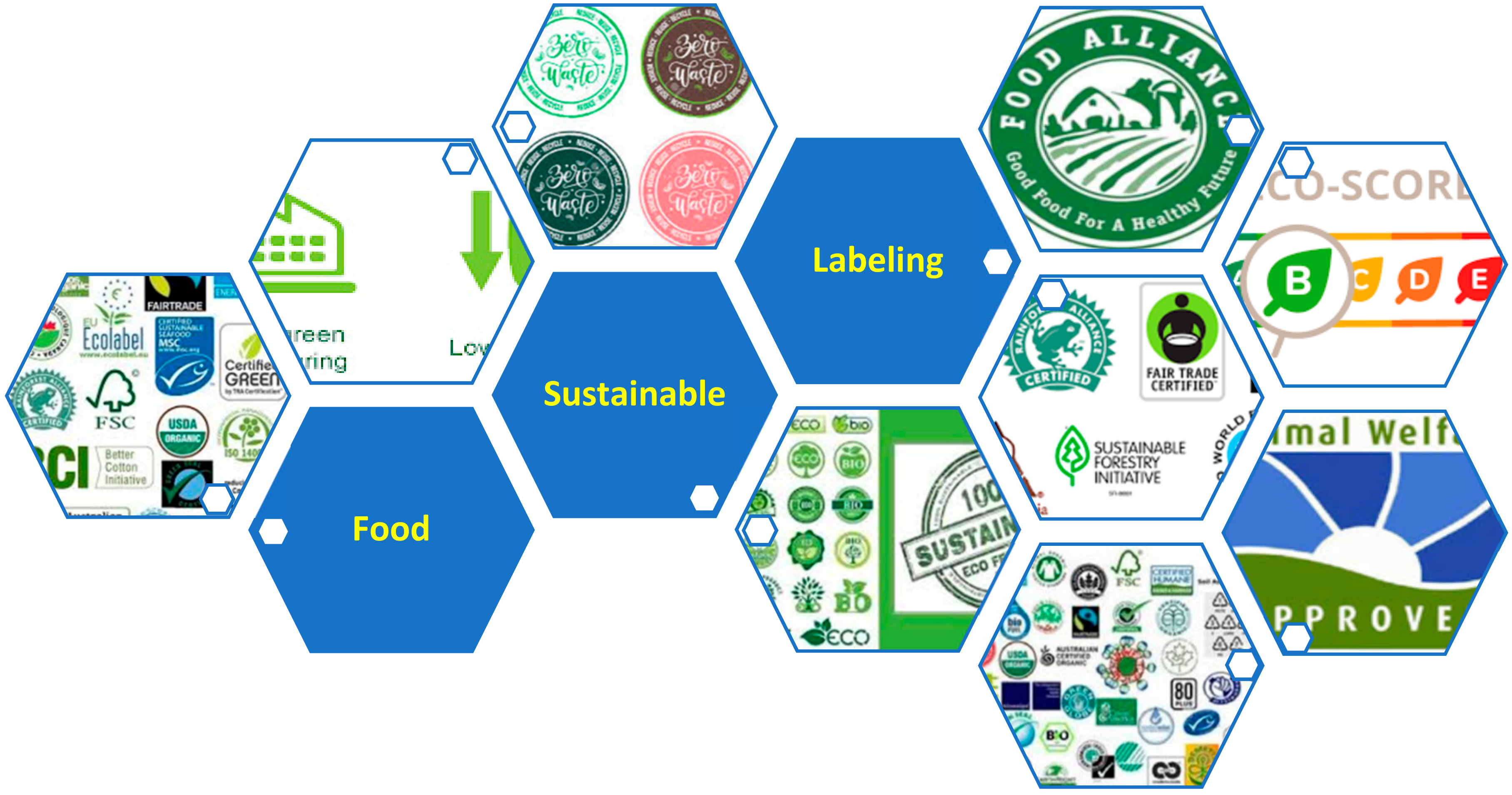 Sustainability 13 09095 g002