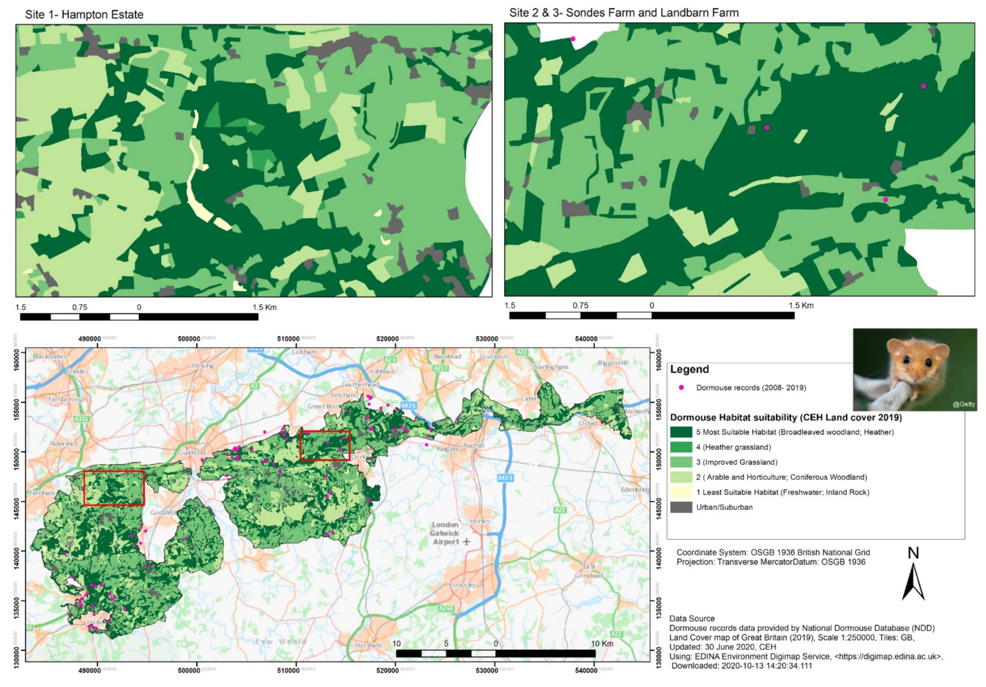 Sustainability 13 09105 g008