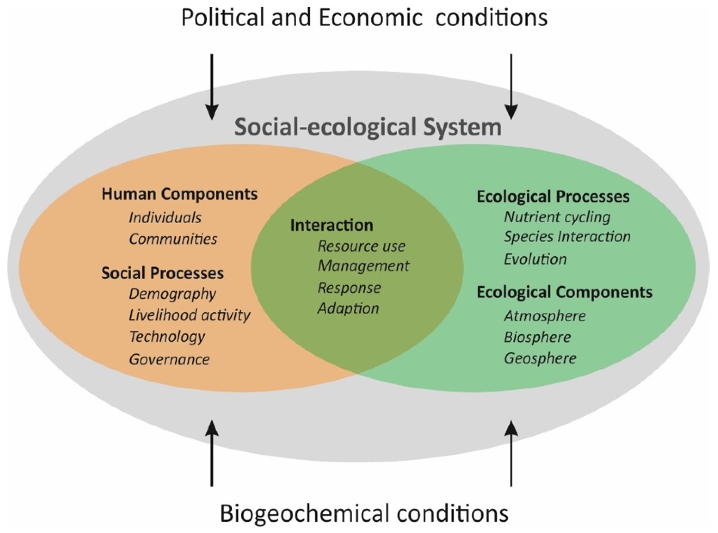 Sustainability 13 09111 g001 550
