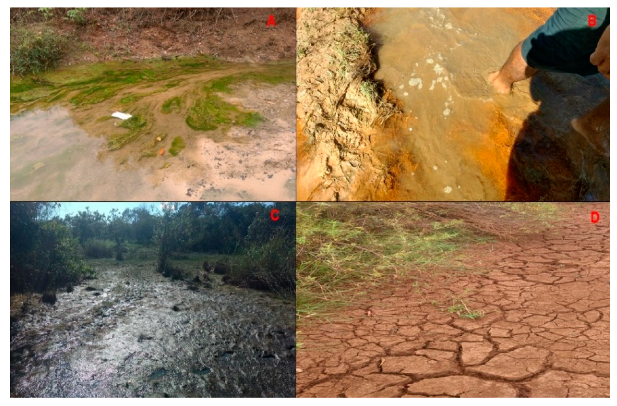 Sustainability 13 09134 g004